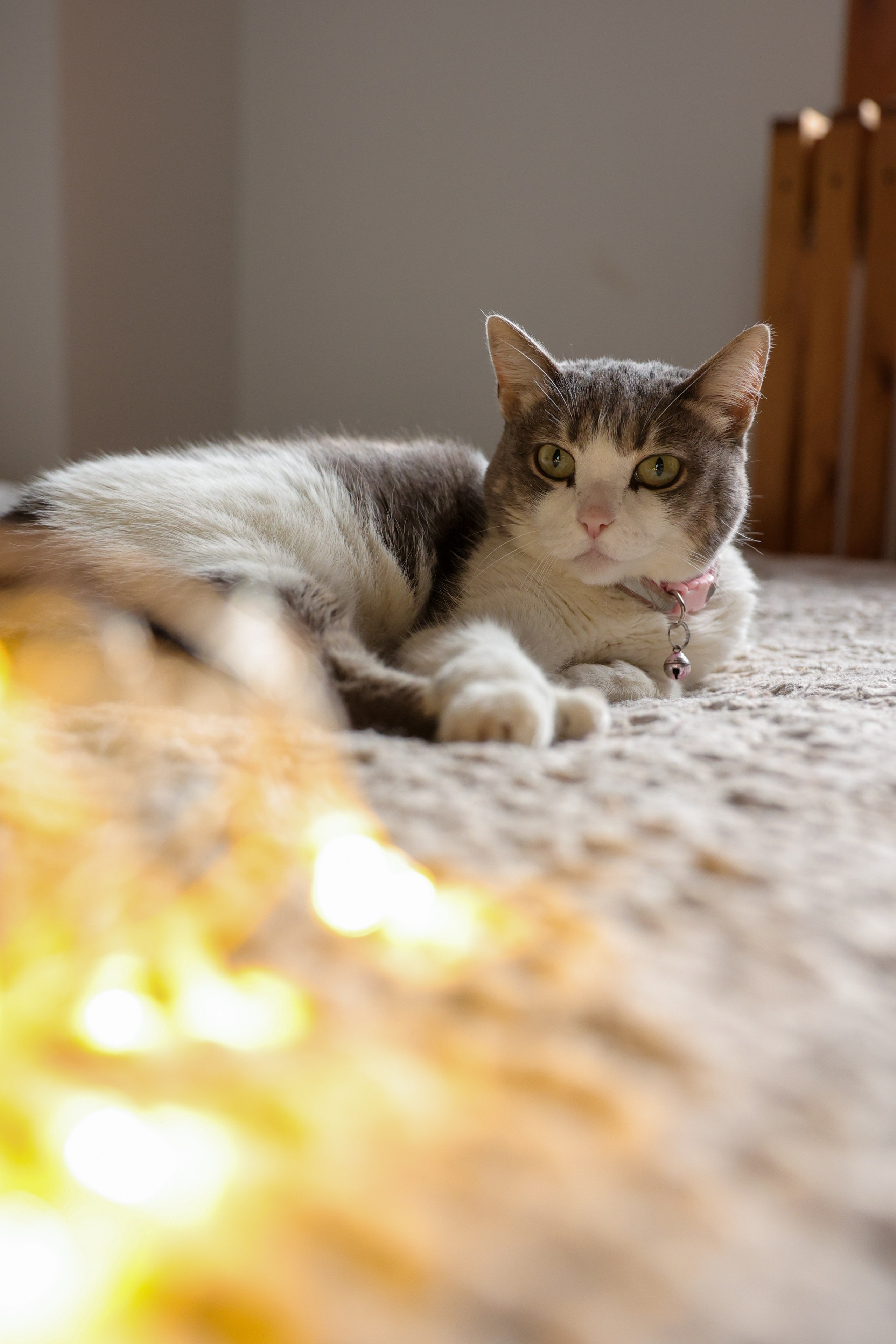 HappyNewYear. Фотограф Алина Ионычева в Новосибирске