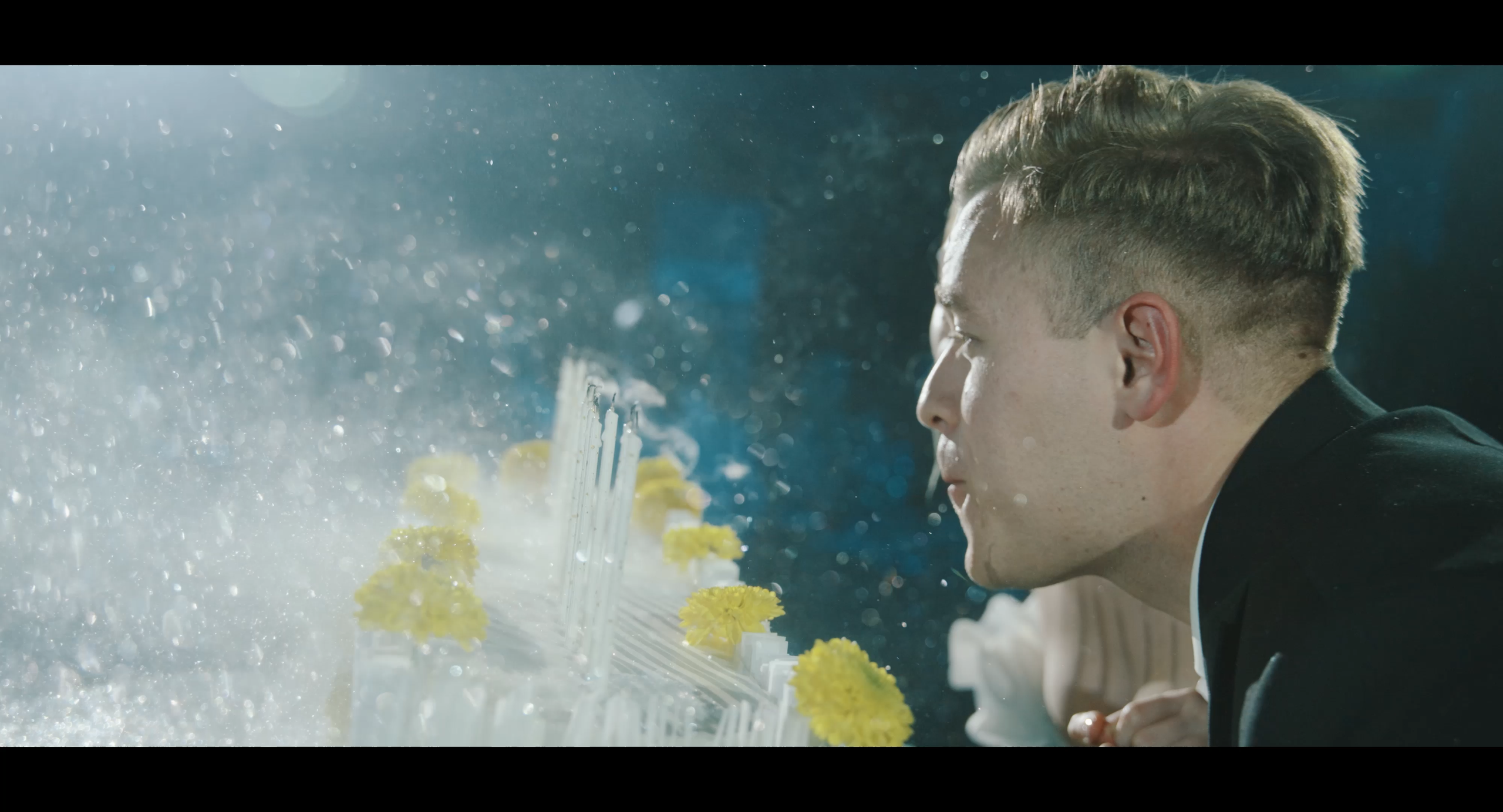 Стефан Студия