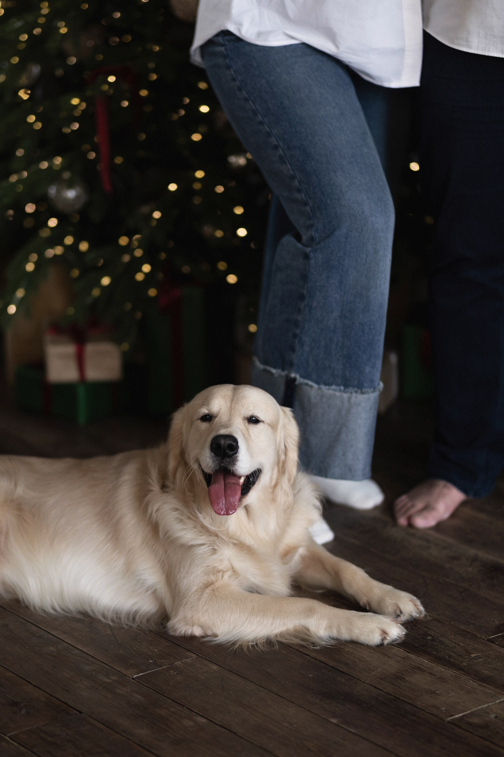 КАТЯ, ПАША, ТАСЯ И КАСПЕР ` 25. Maria Startseva Photo