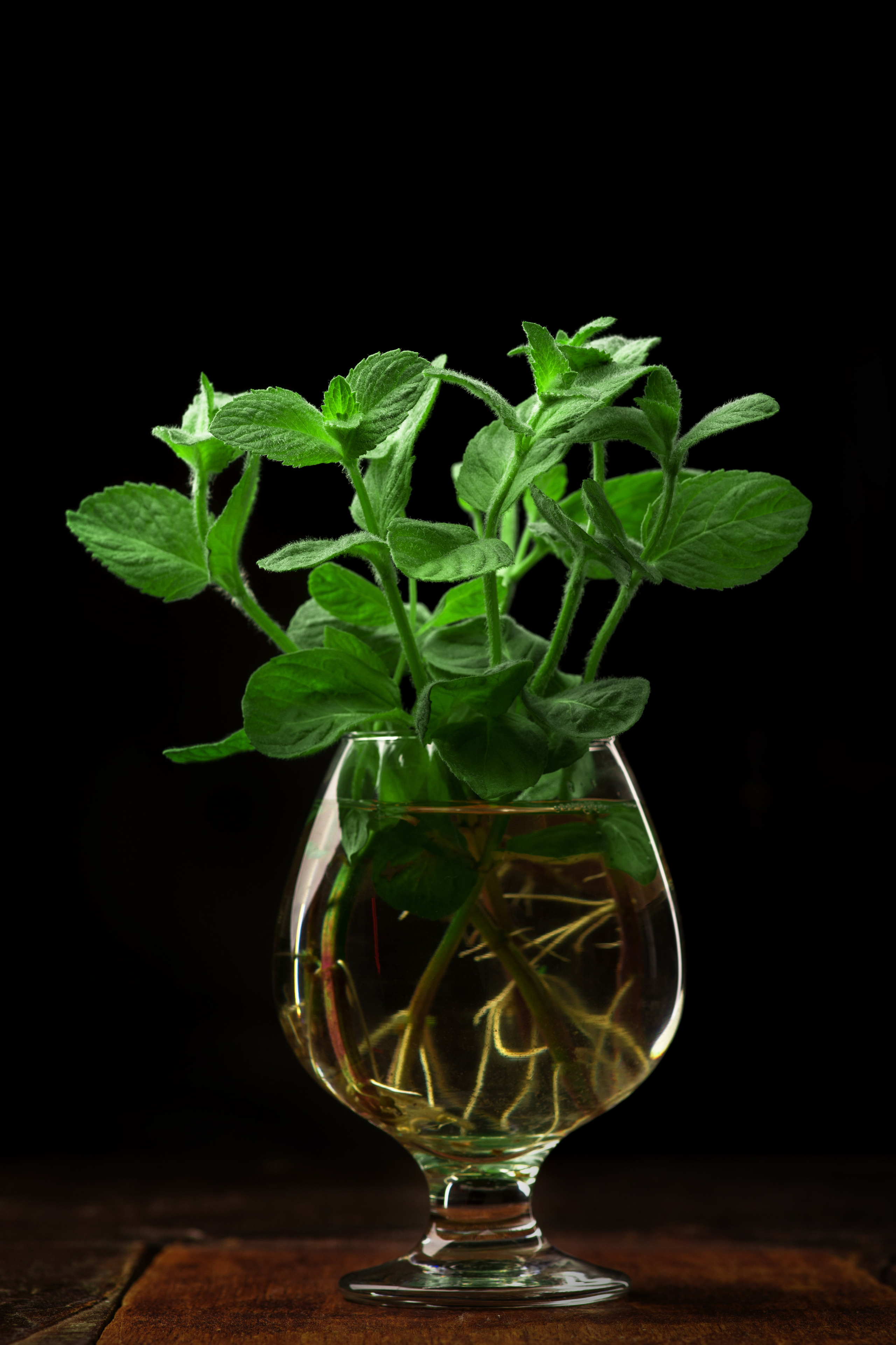 Рекламная съемка. Фотостудия Гранд в Санкт-Петербурге