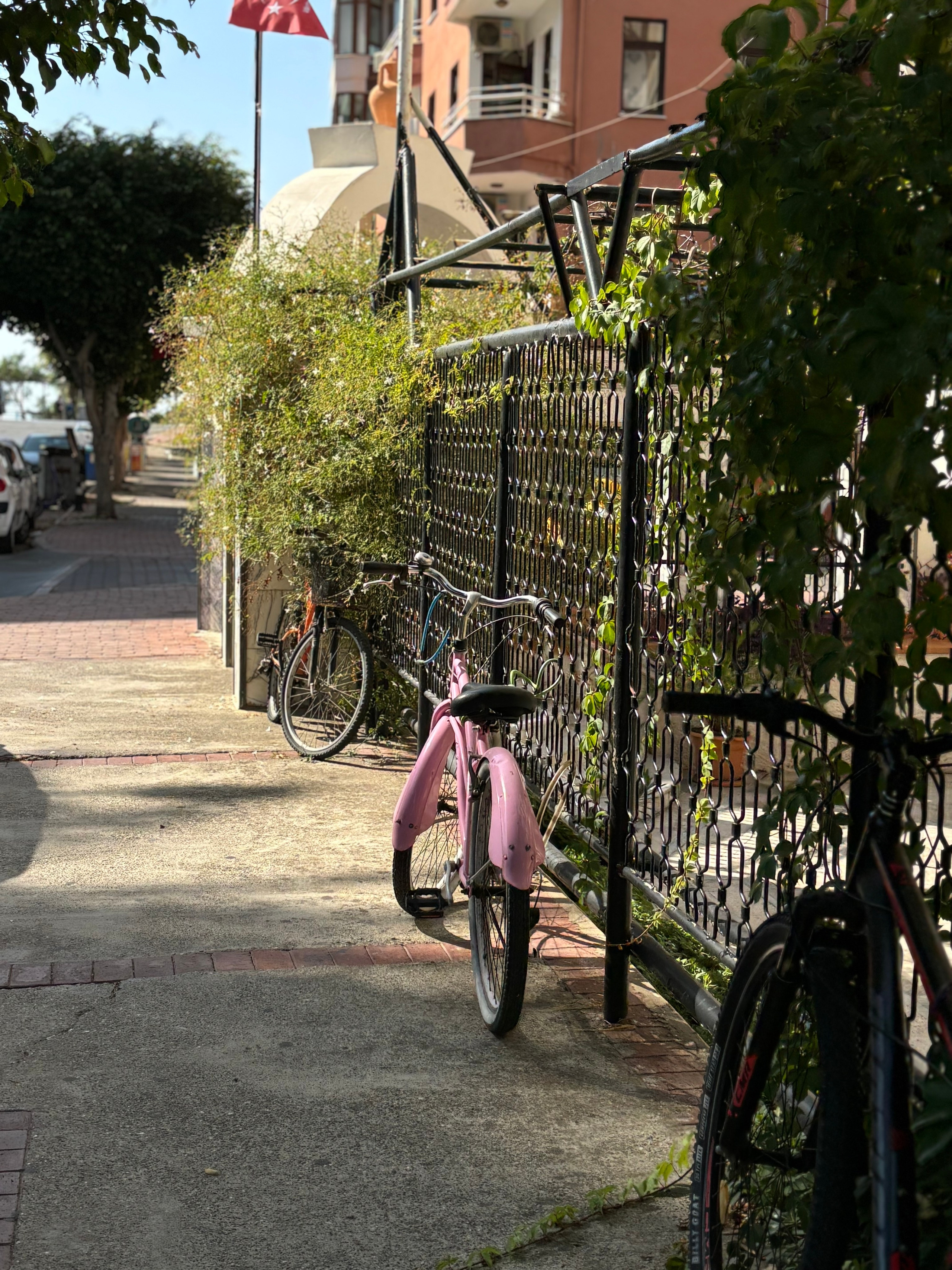 Алания, Турция. Персональный фотограф Москва
