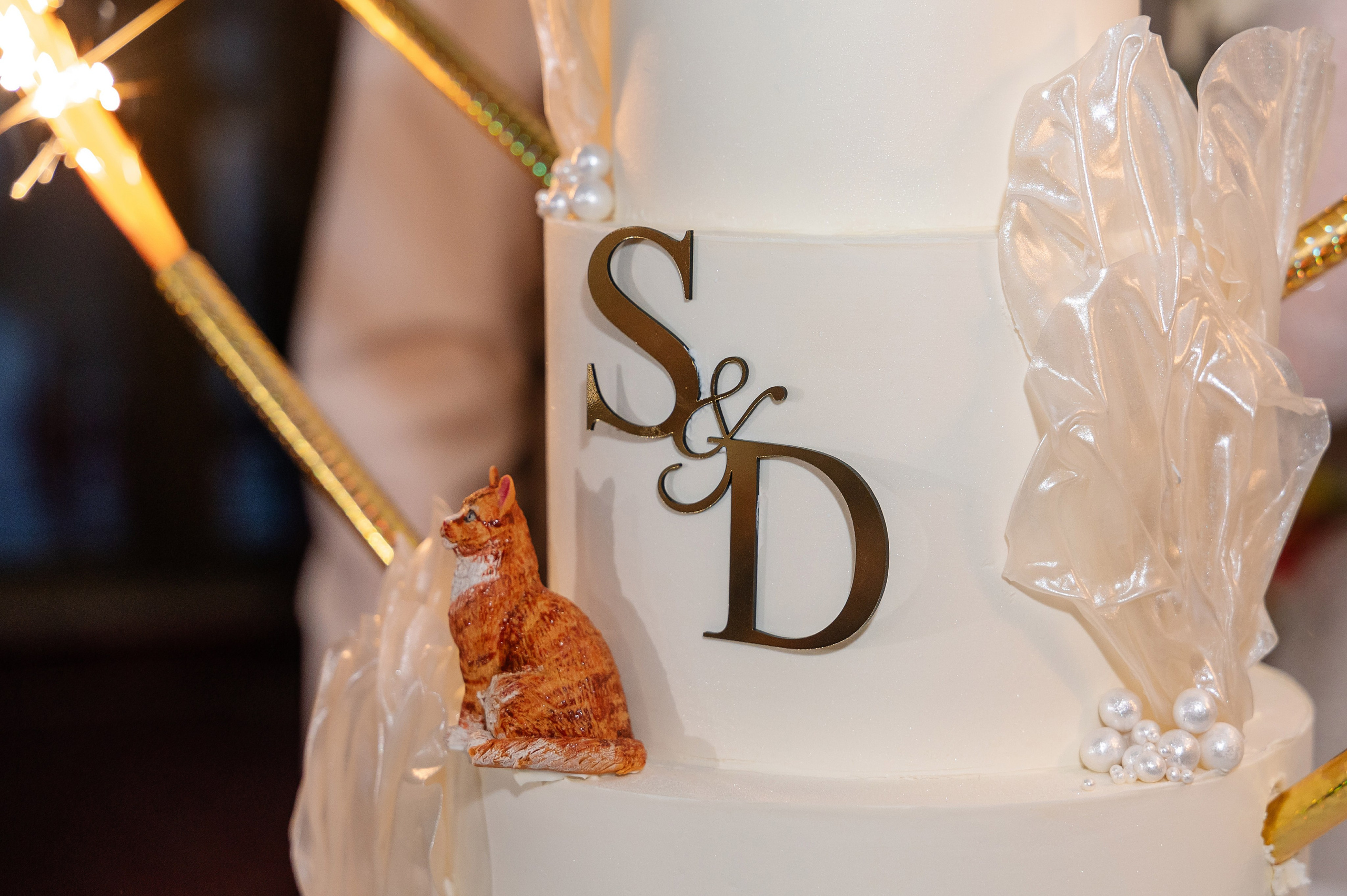 Анонсы съемок. Свадебный и семейный фотограф в Чебоксарах Ирина Левнер