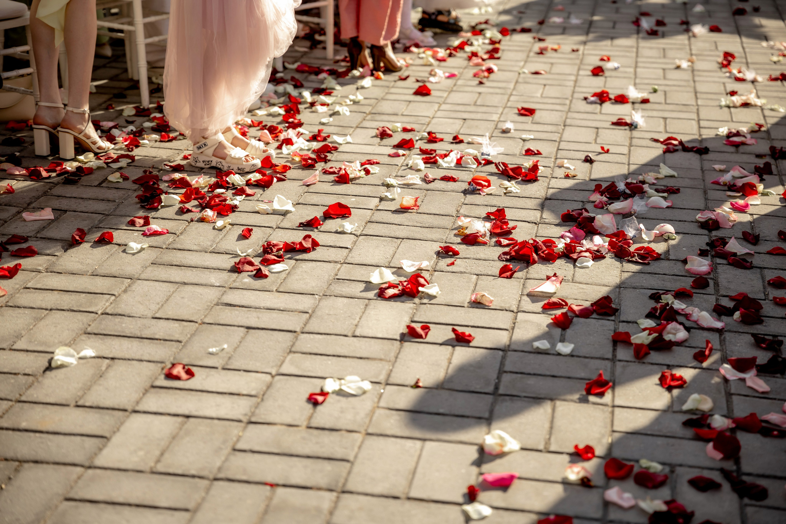 A&A 22/06/2025. Свадебный и семейный фотограф в Севастополе и в Крыму Анастасия Корчак