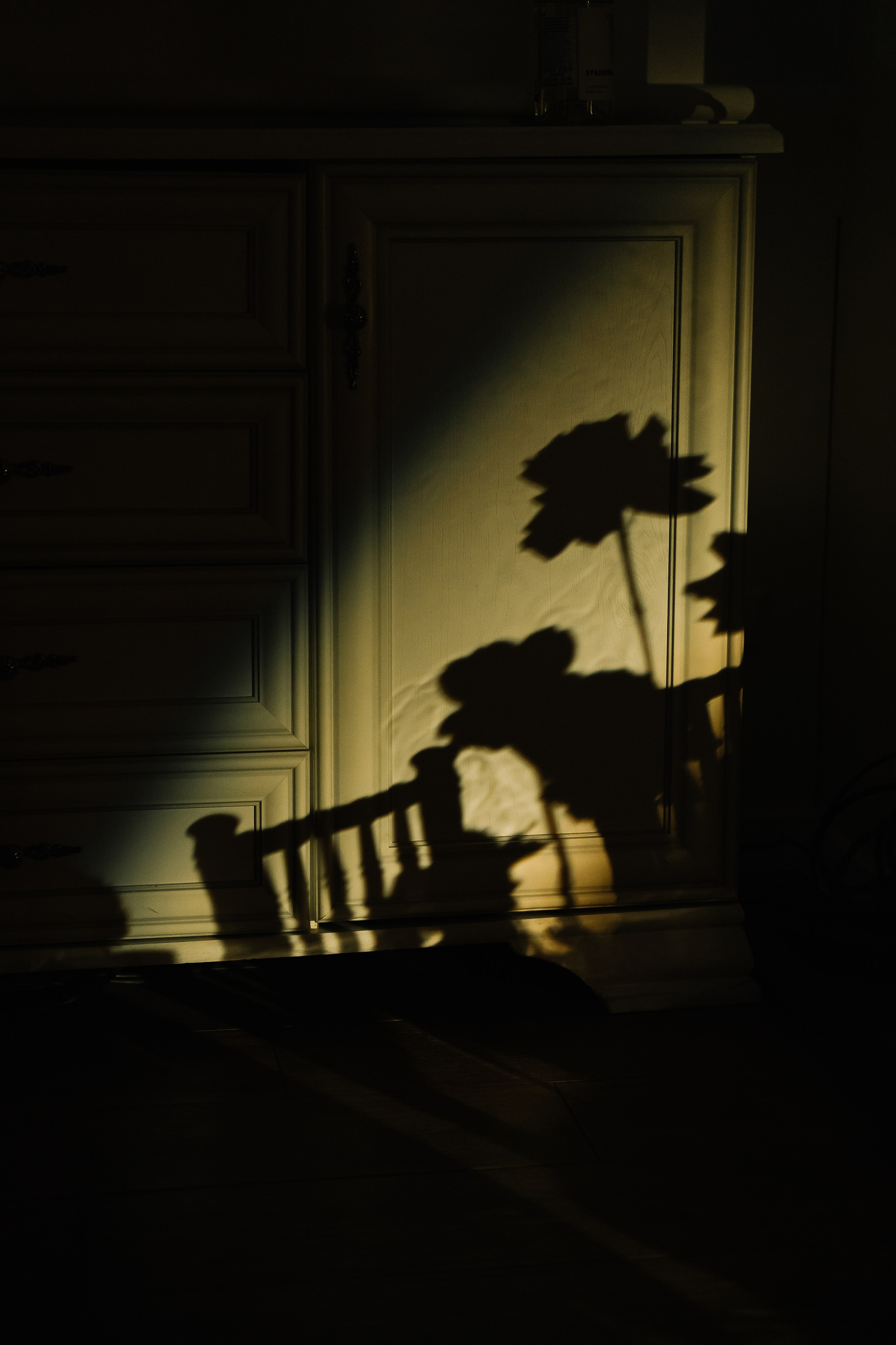 Любимкинс. Свадебный Фотограф Минск || Фото и Видеосъёмка Минск || Другие города