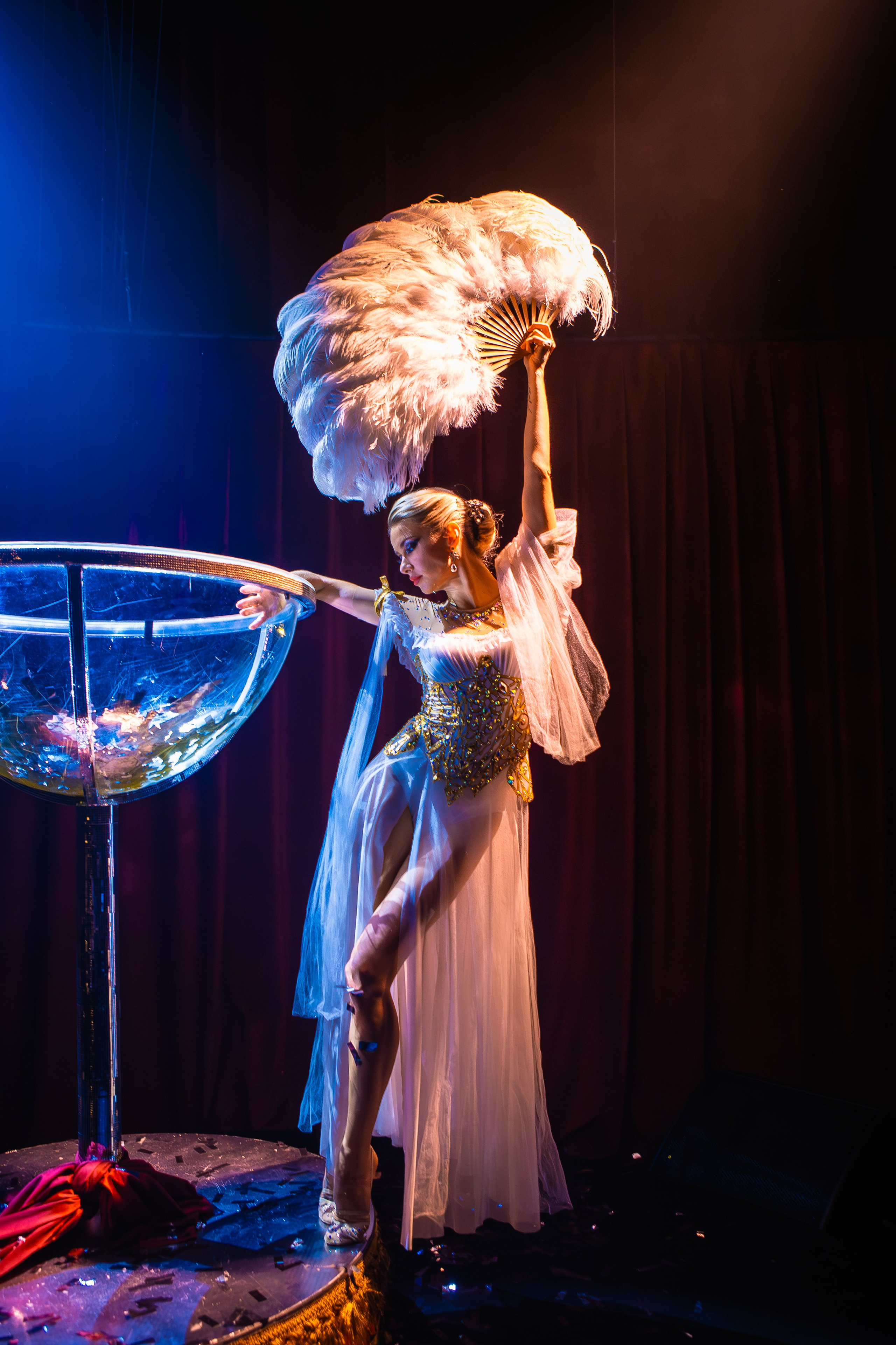 Цирковое шоу. Видеограф Добромыслов