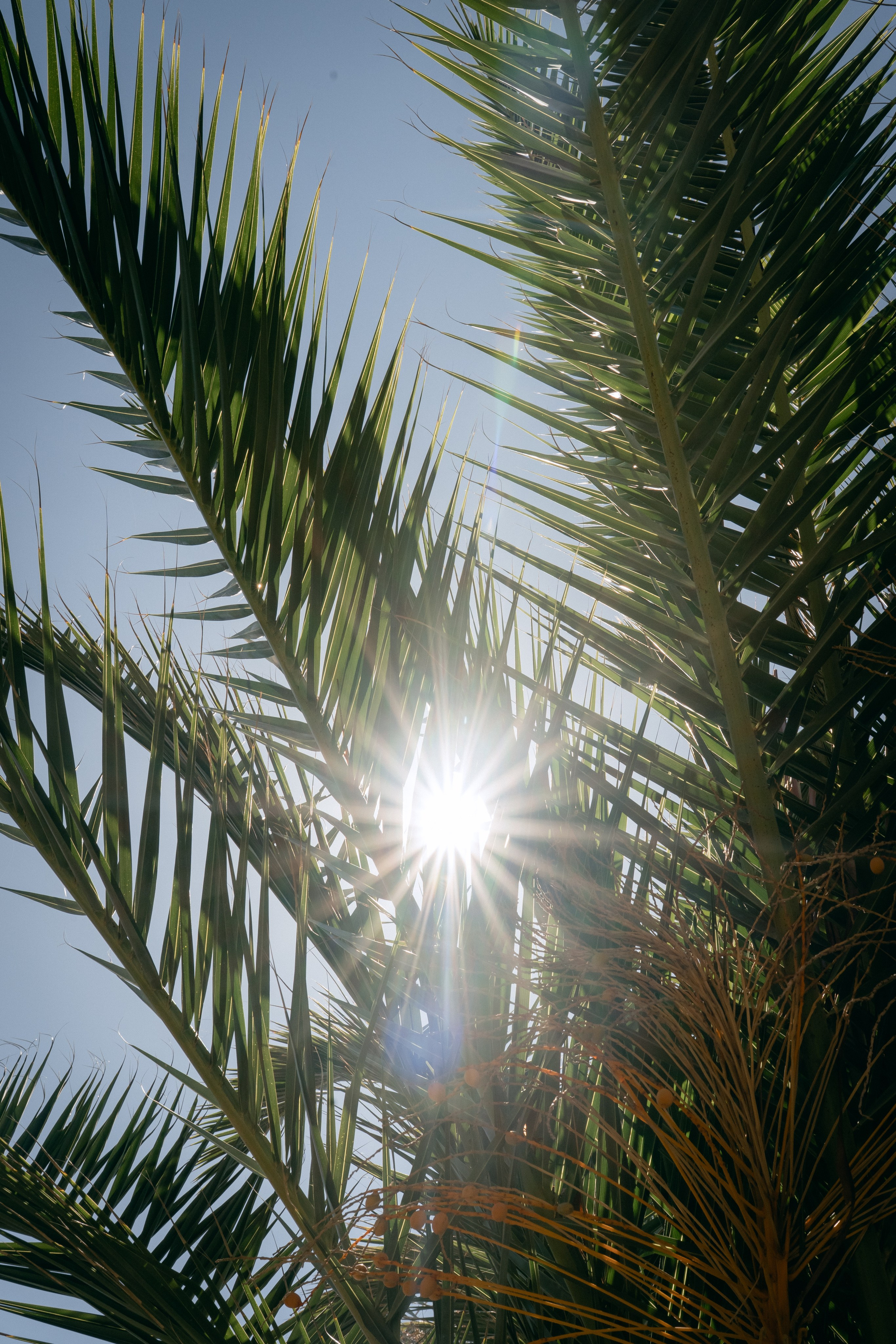 American-Russian Wedding. Wedding & Documentary Photographer based in Nuremberg — available across Europe & Turkey | Vitalii Nasonov