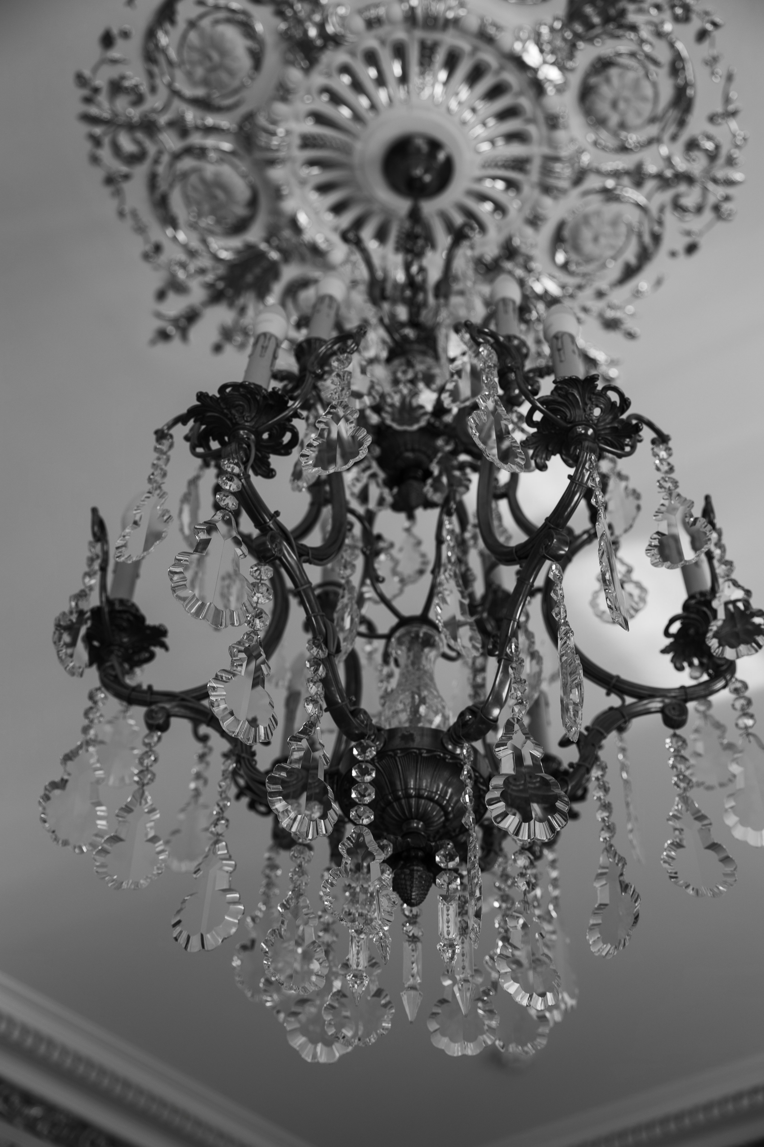 MICHETTI. Свадебное ФОТО & ВИДЕО Москва/Липецк