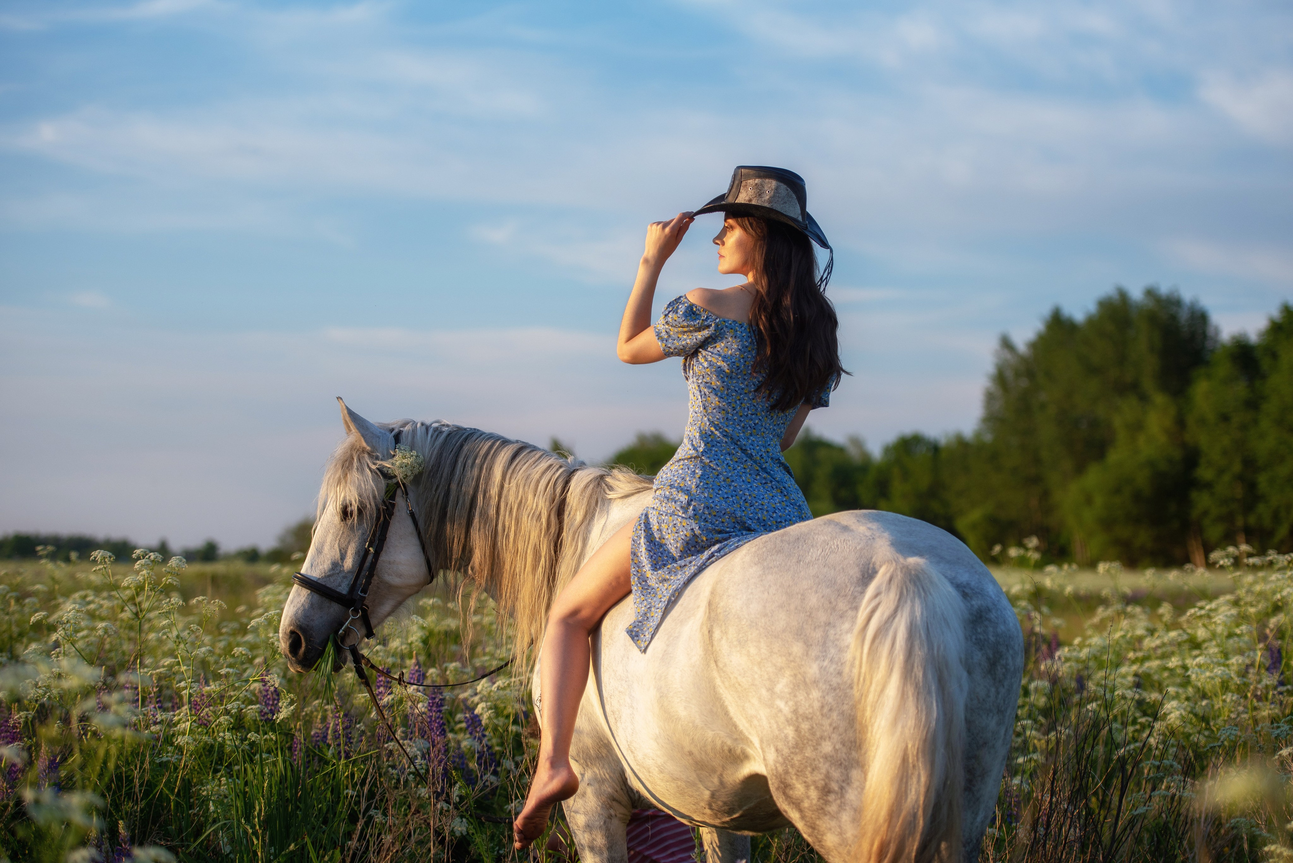 Индивидуальные. Фотограф с лошадьми в Калининграде Татьяна Ларина