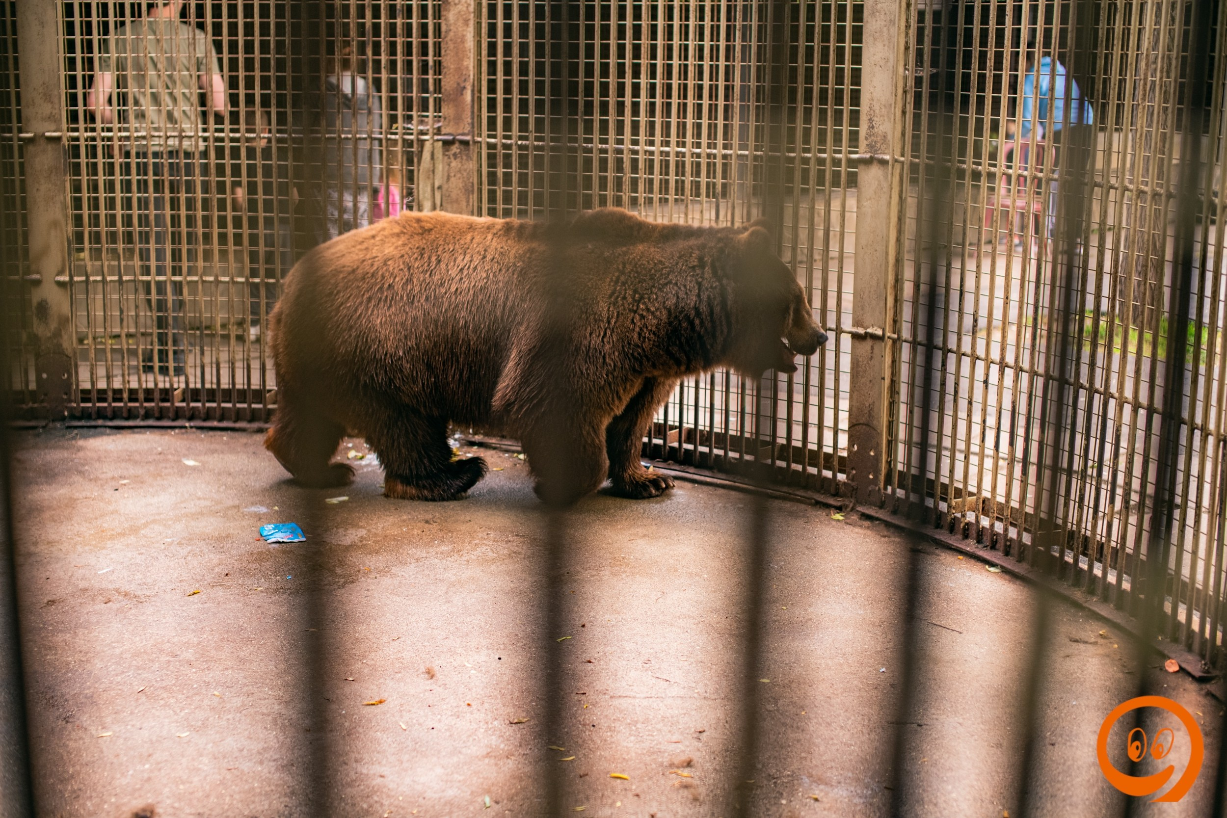 Шашлыки | 12.06.25. Галерея Фантим