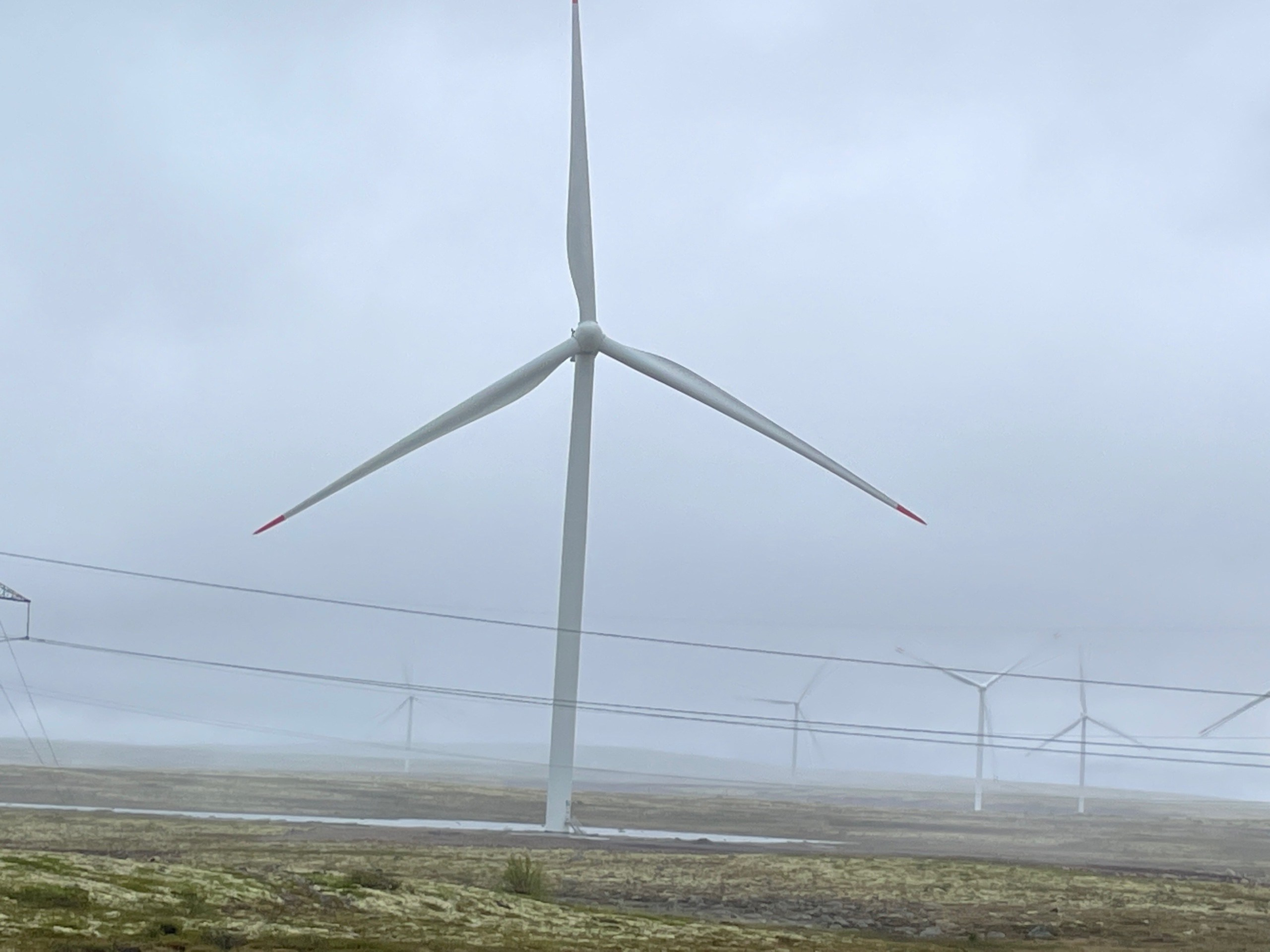 Мурманск | 20-22.06.2025. Галерея Фантим