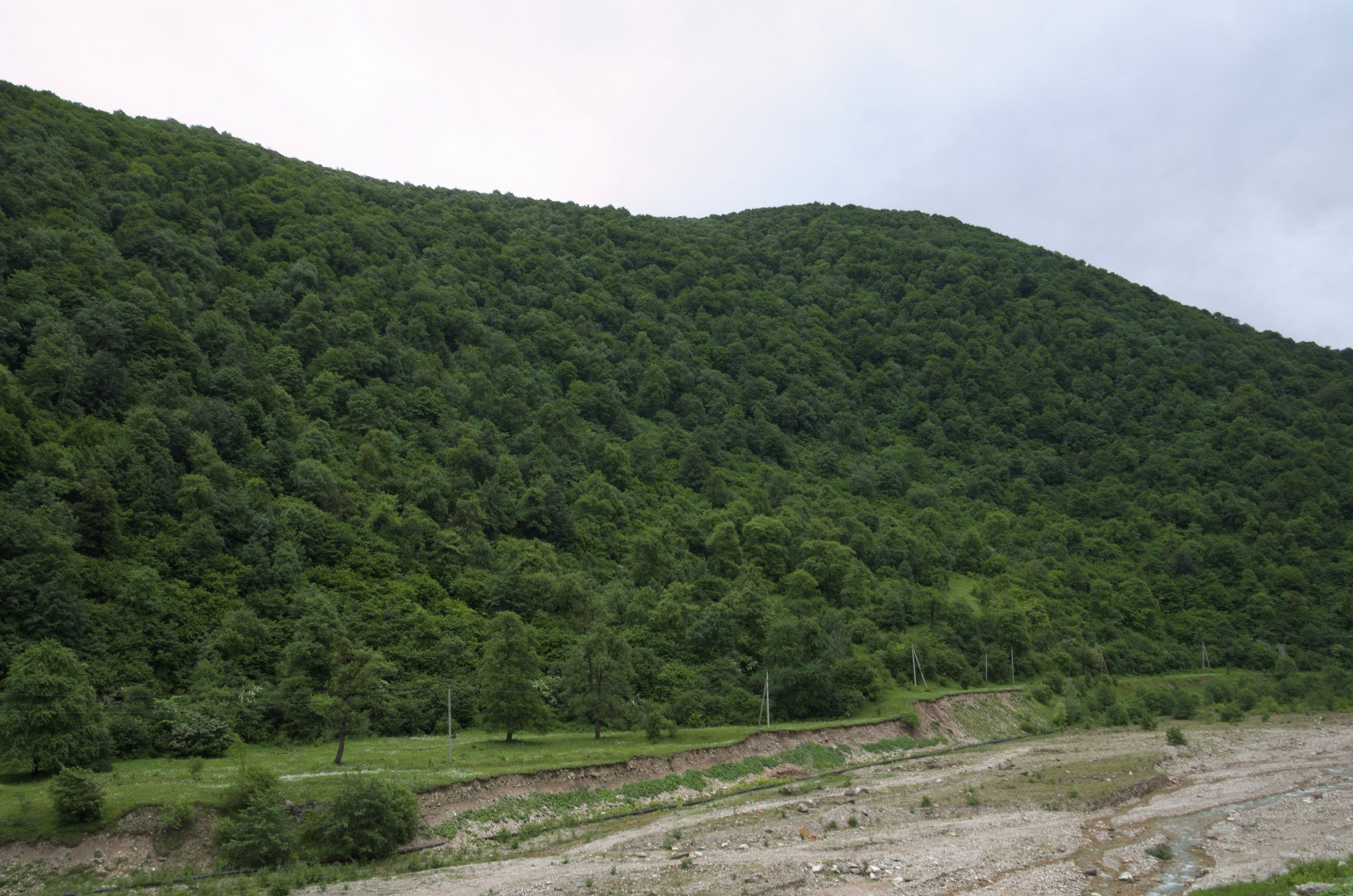 Чечня+Ингушетия | 10-12.06.2017. Галерея Фантим