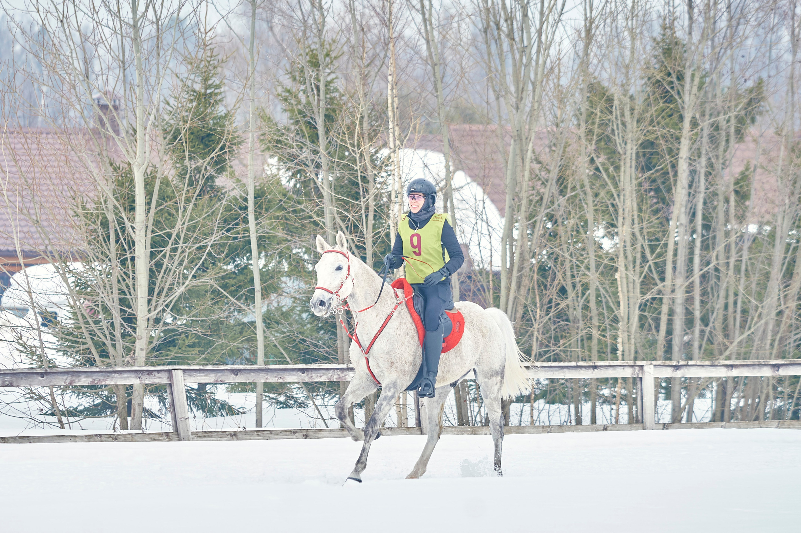 HORSE RACING. Фотограф Наталья Леонова