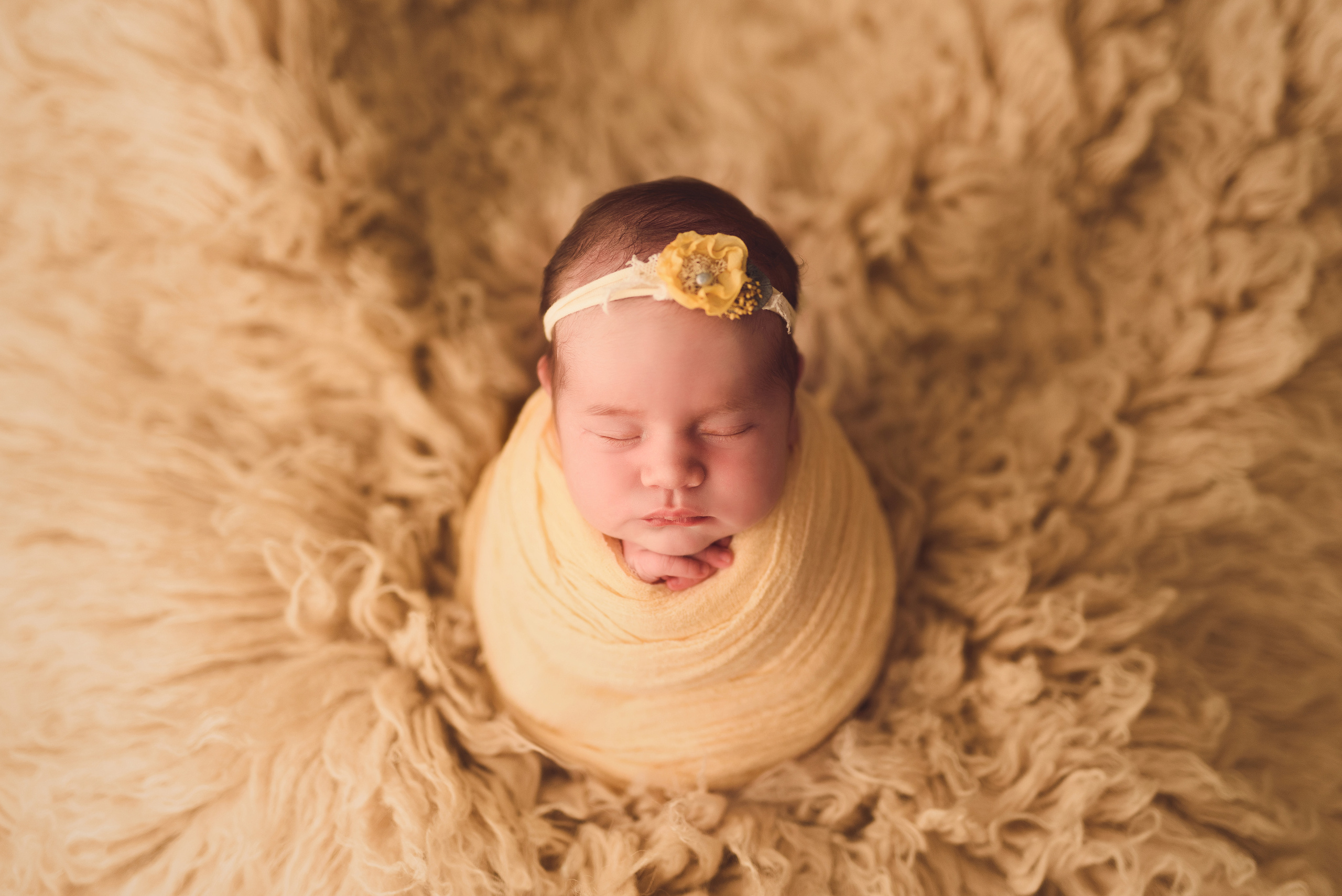 Новорожденные. Фотограф Шарыпово