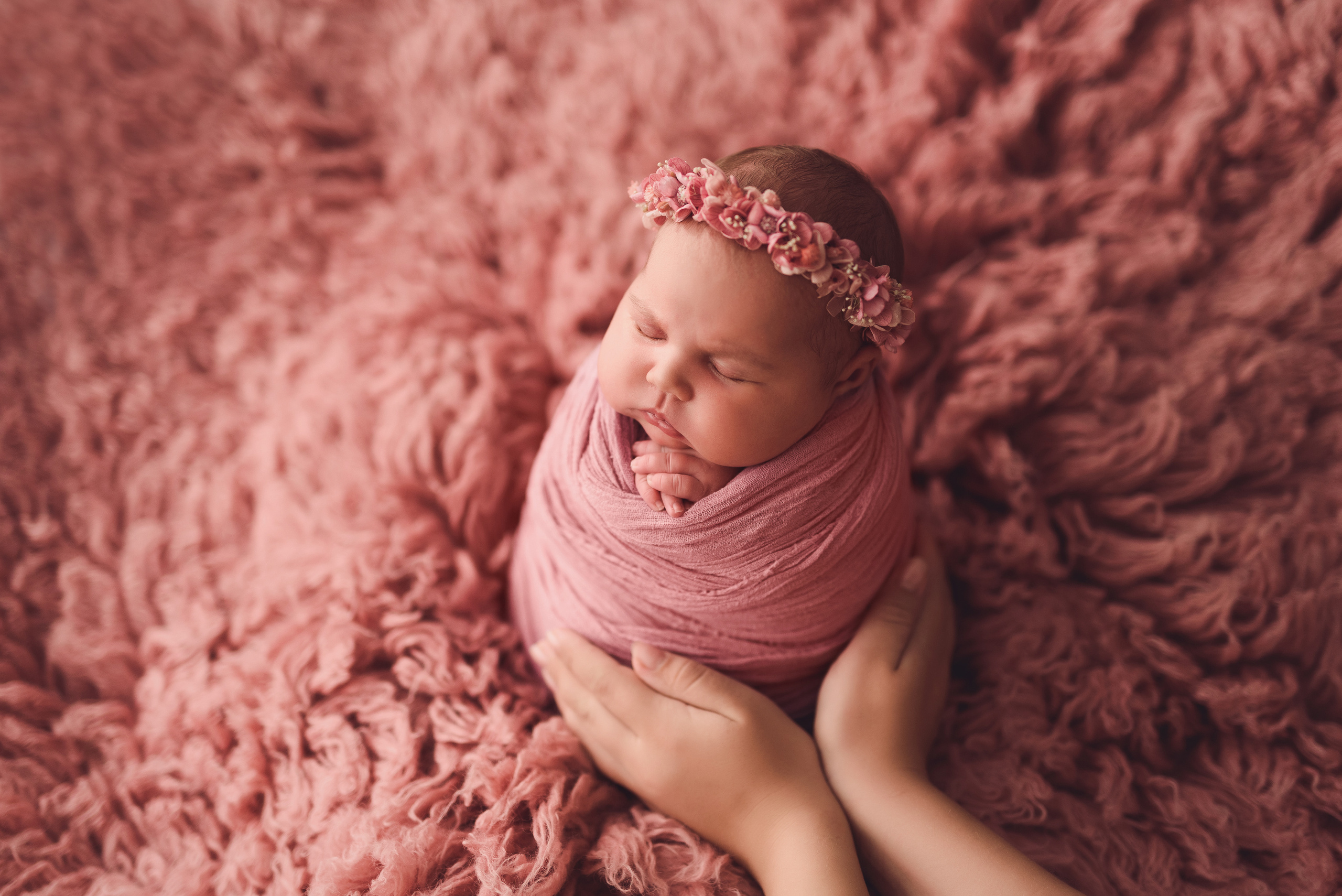 Новорожденные. Фотограф Шарыпово