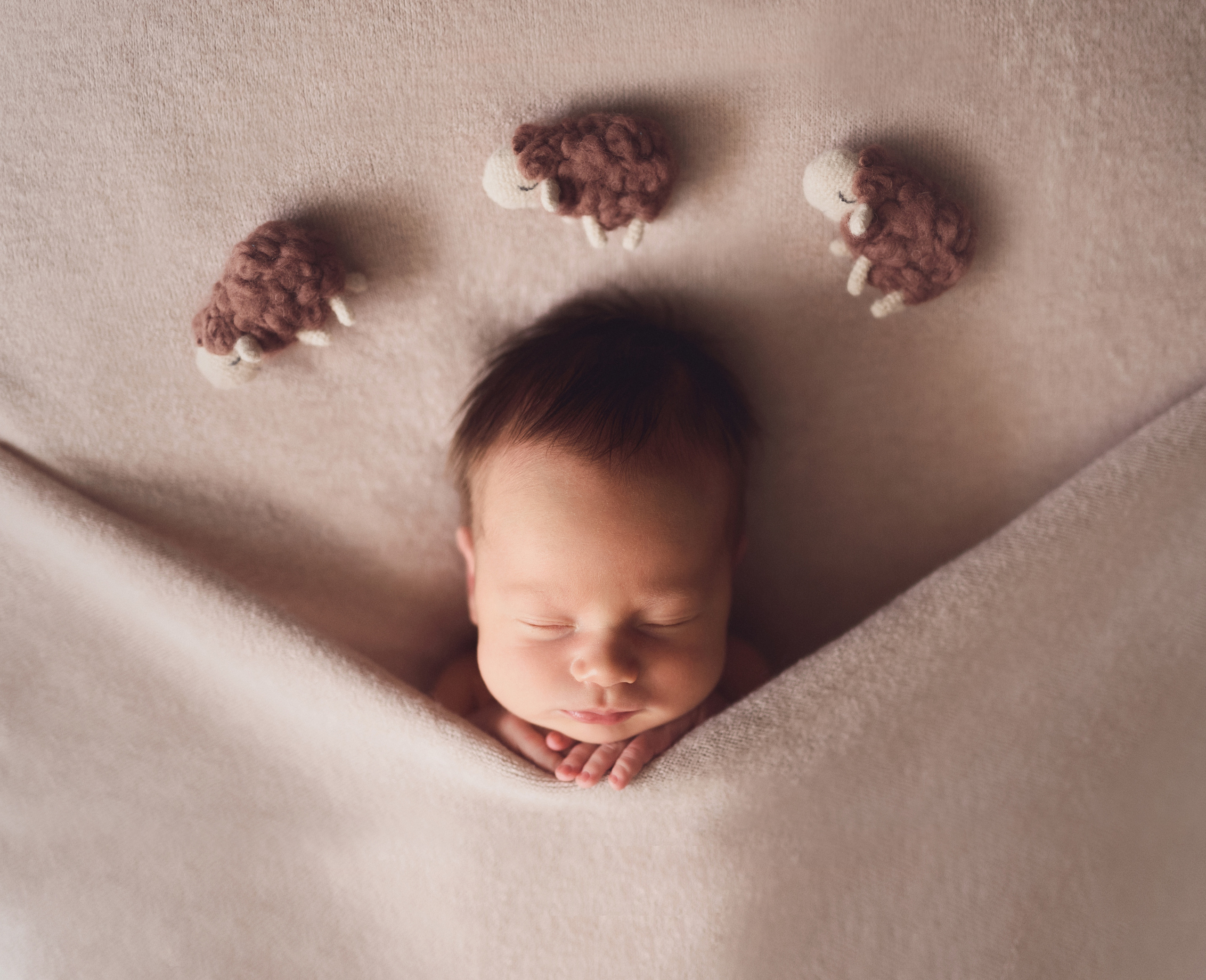 Новорожденные. Фотограф Шарыпово