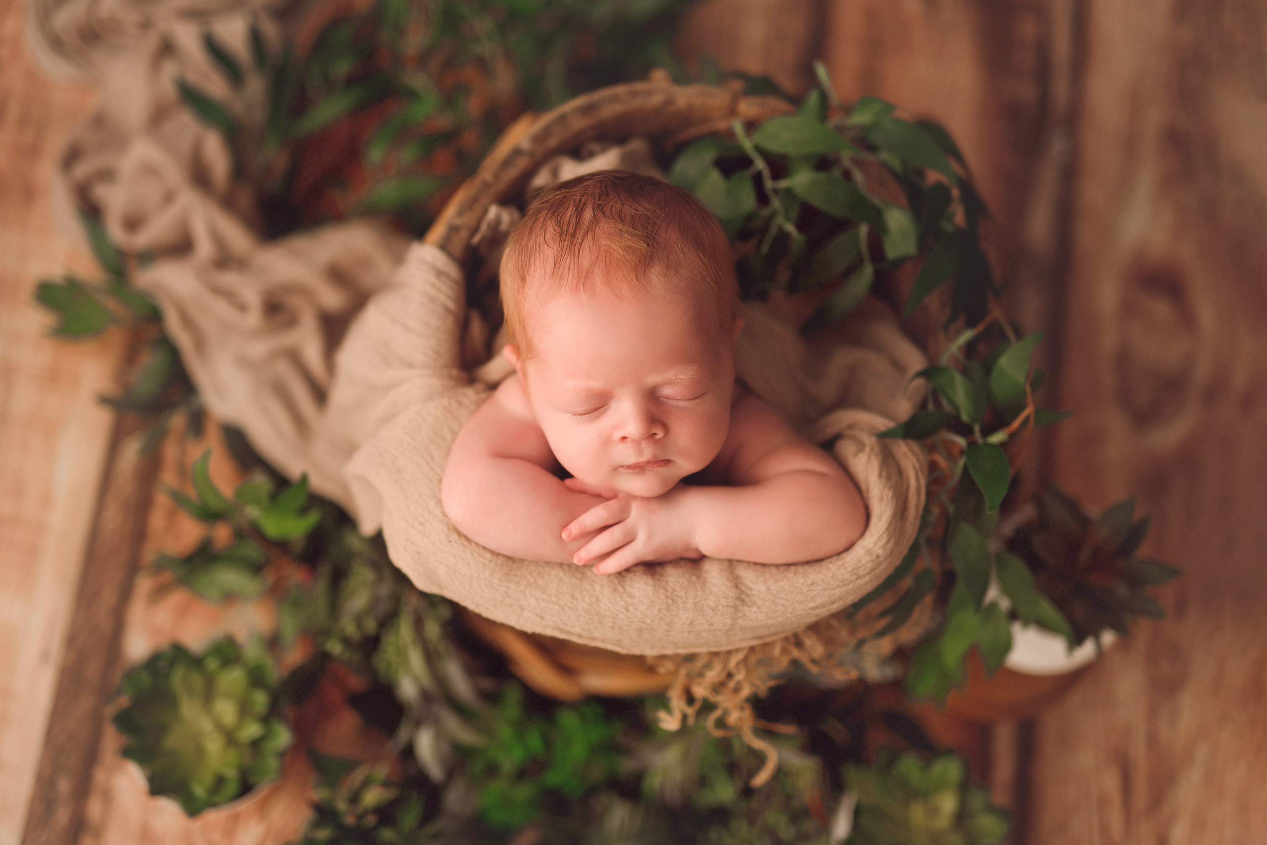 Новорожденные. Фотограф Шарыпово