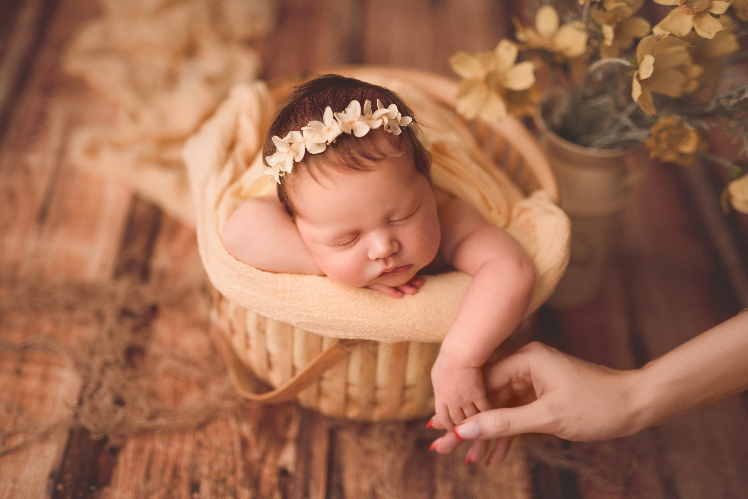 Новорожденные. Фотограф Шарыпово