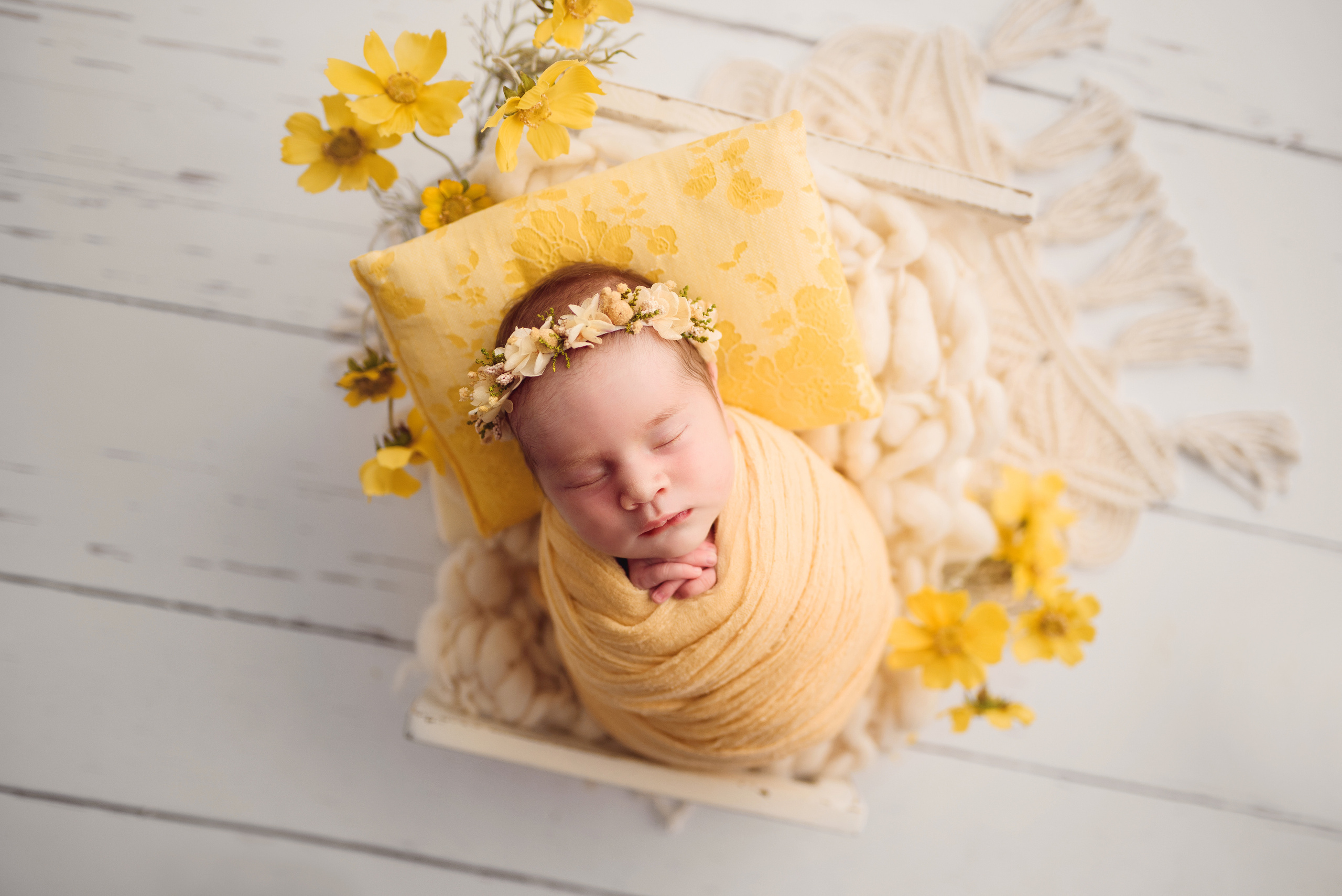 Новорожденные. Фотограф Шарыпово