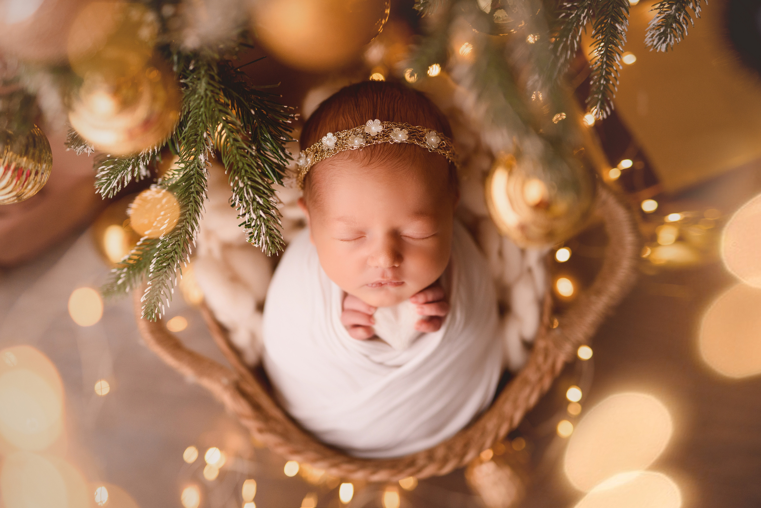 Новорожденные. Фотограф Шарыпово