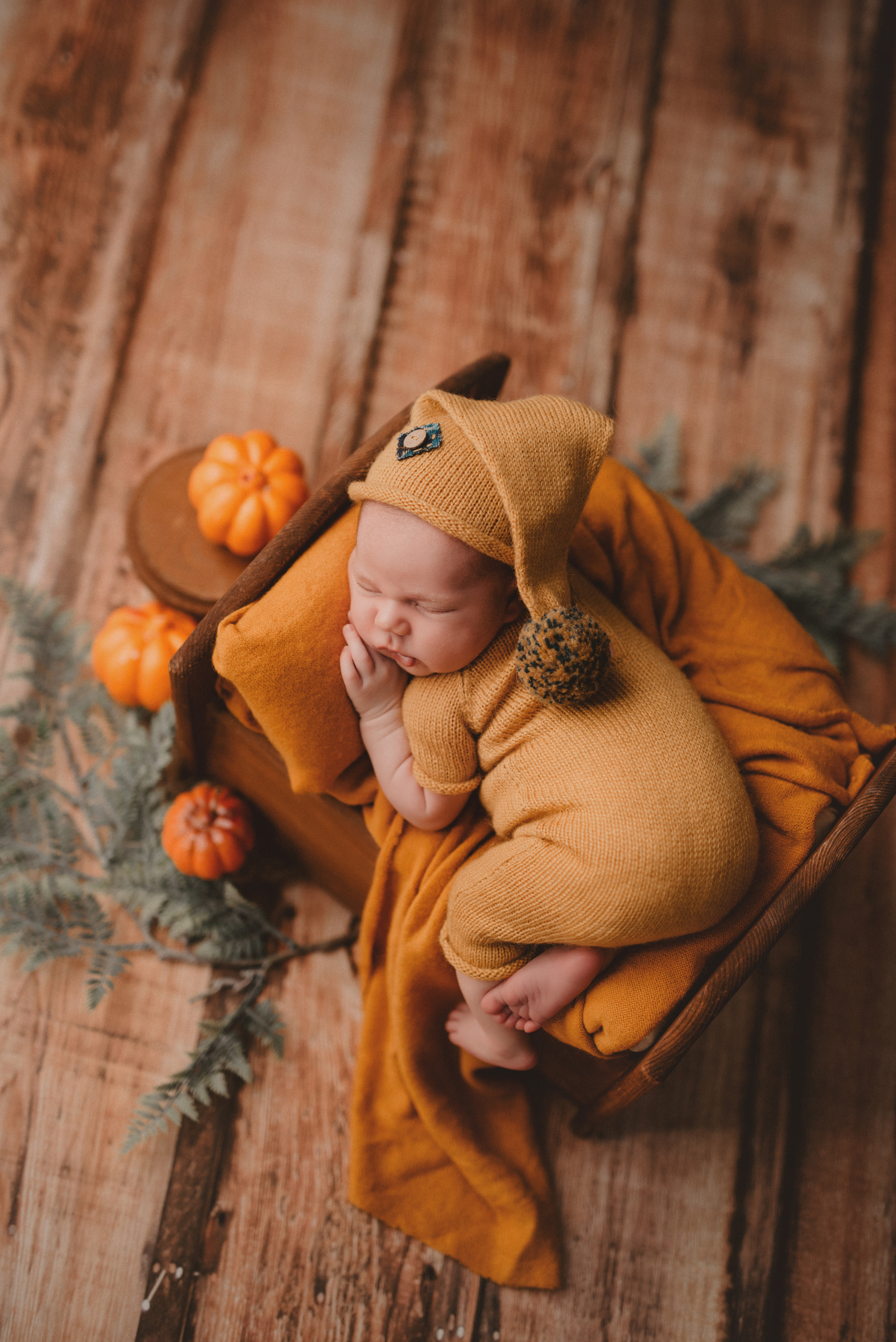 Новорожденные. Фотограф Шарыпово