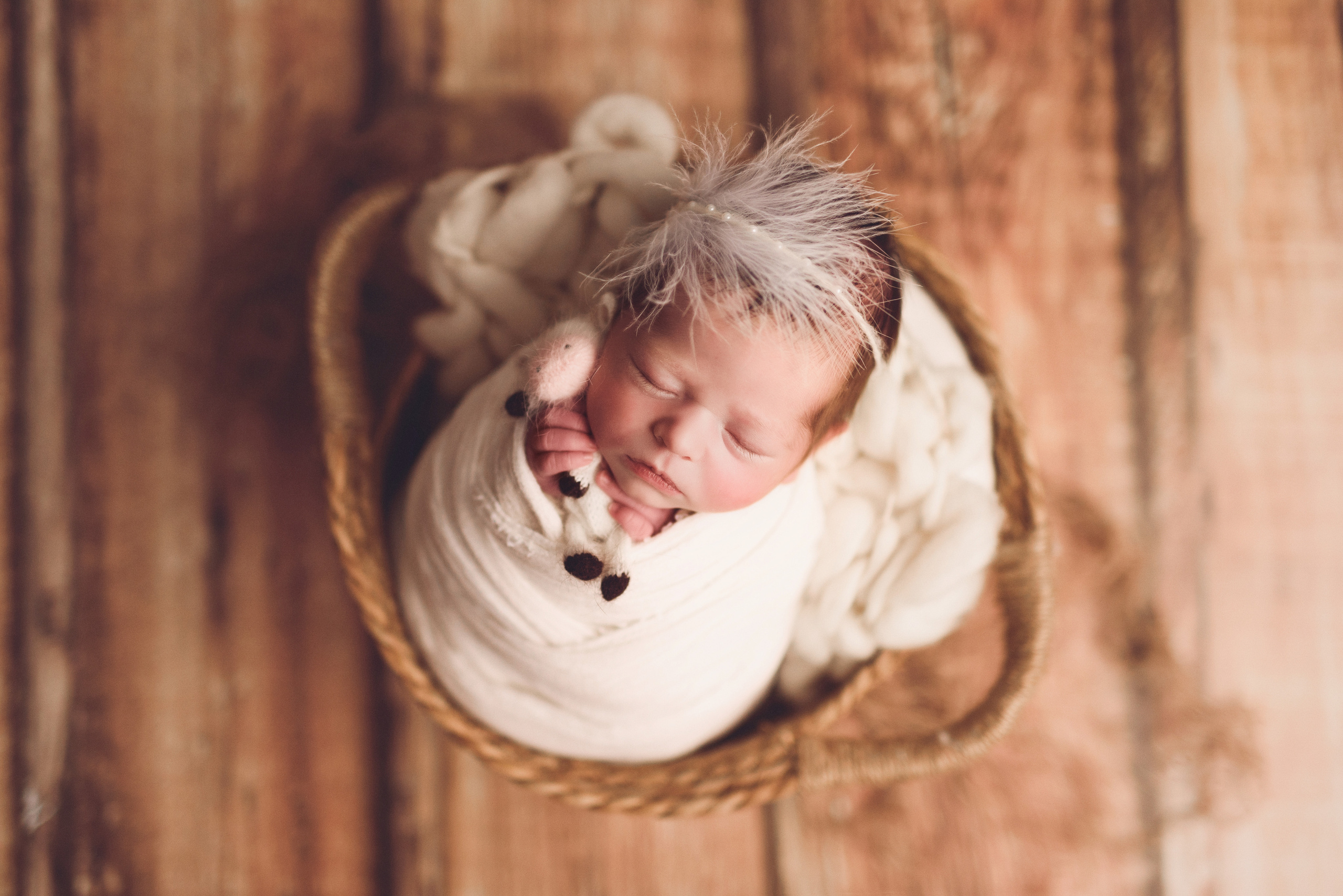 Новорожденные. Фотограф Шарыпово