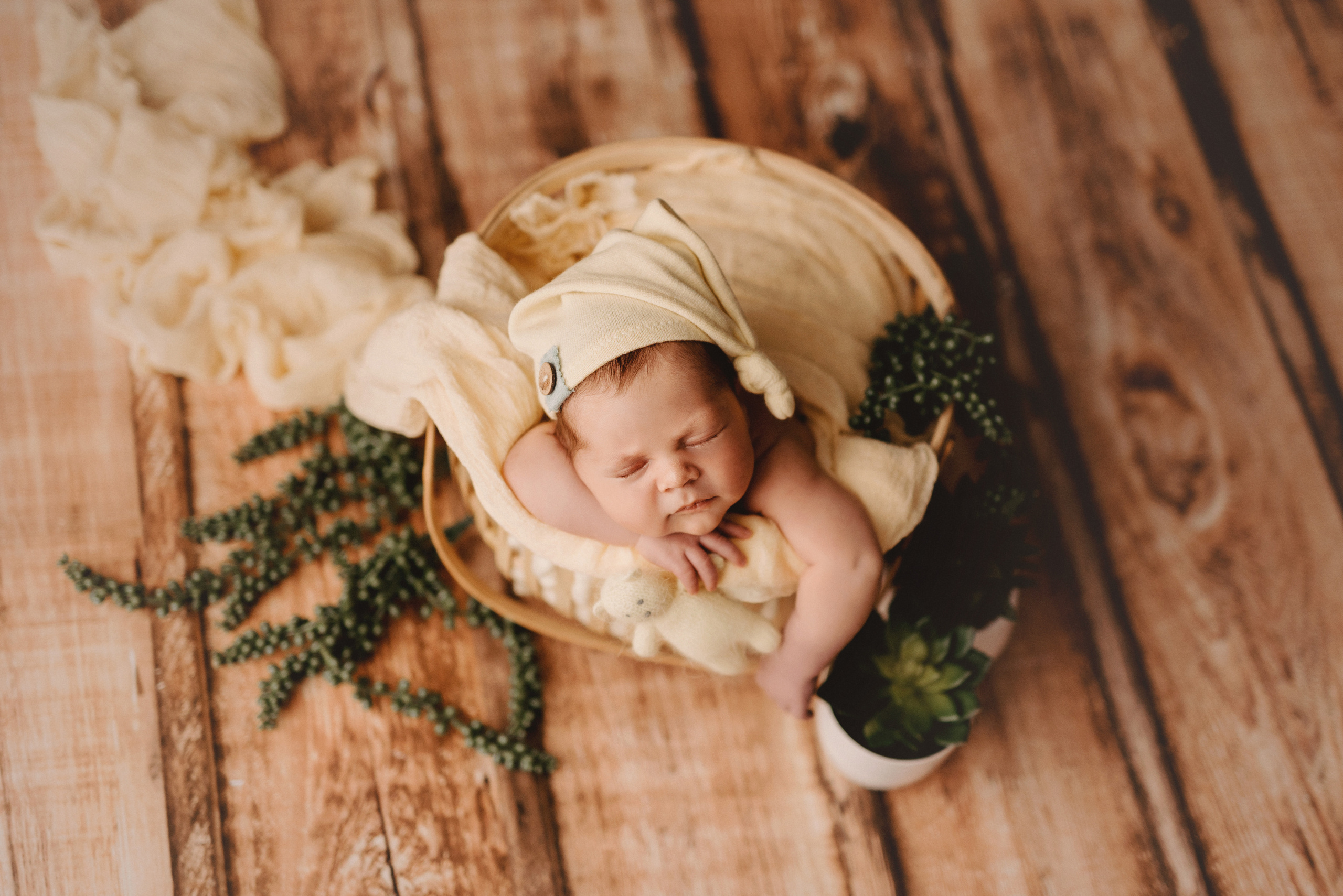 Новорожденные. Фотограф Шарыпово