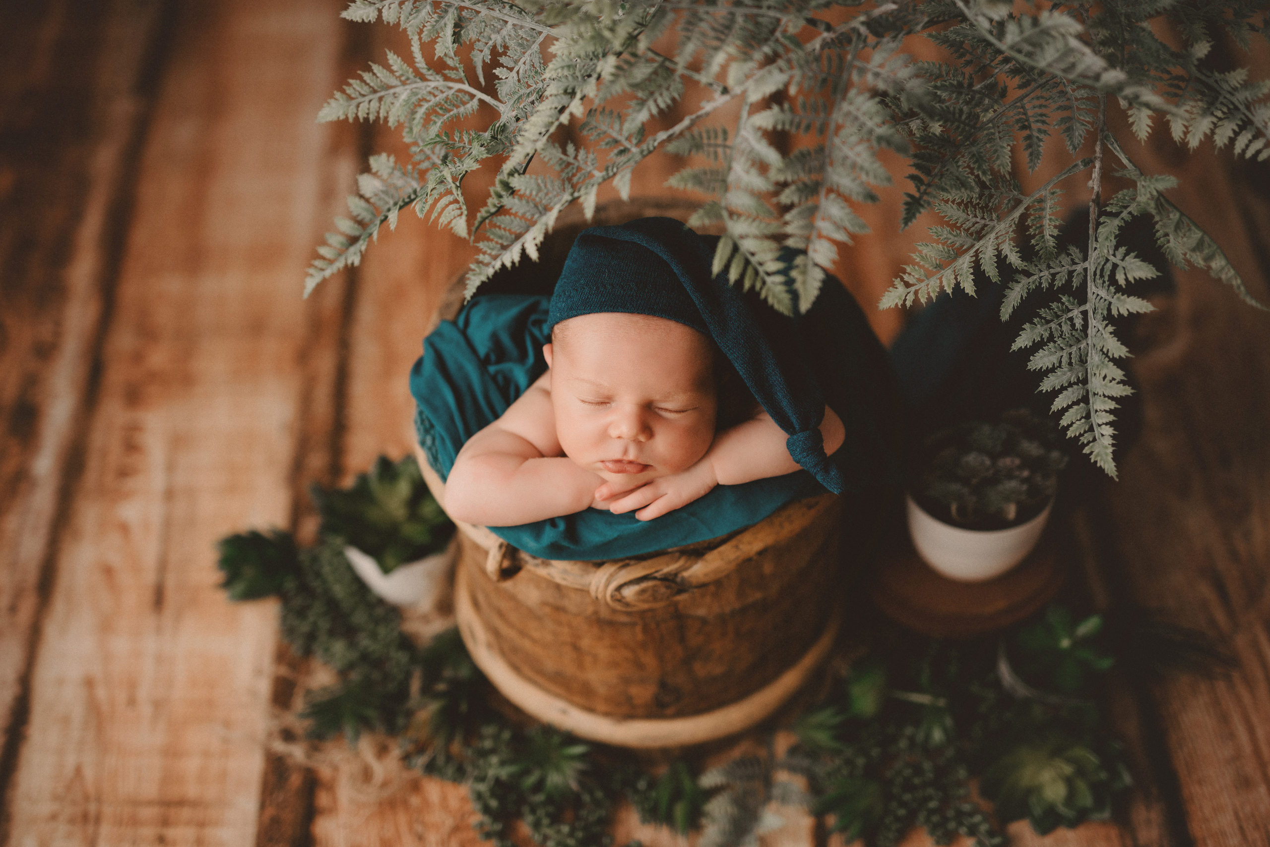 Новорожденные. Фотограф Шарыпово