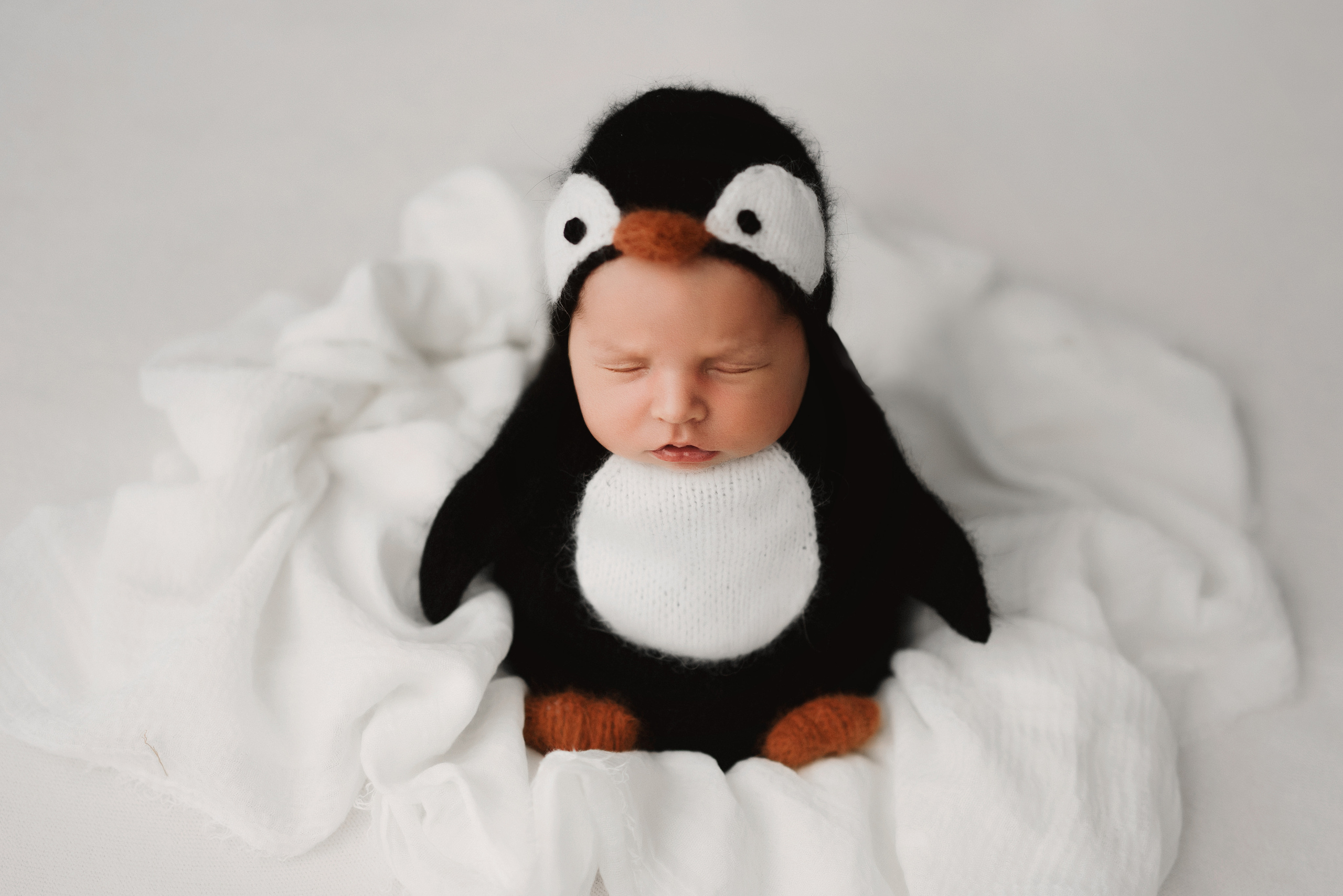 Новорожденные. Фотограф Шарыпово