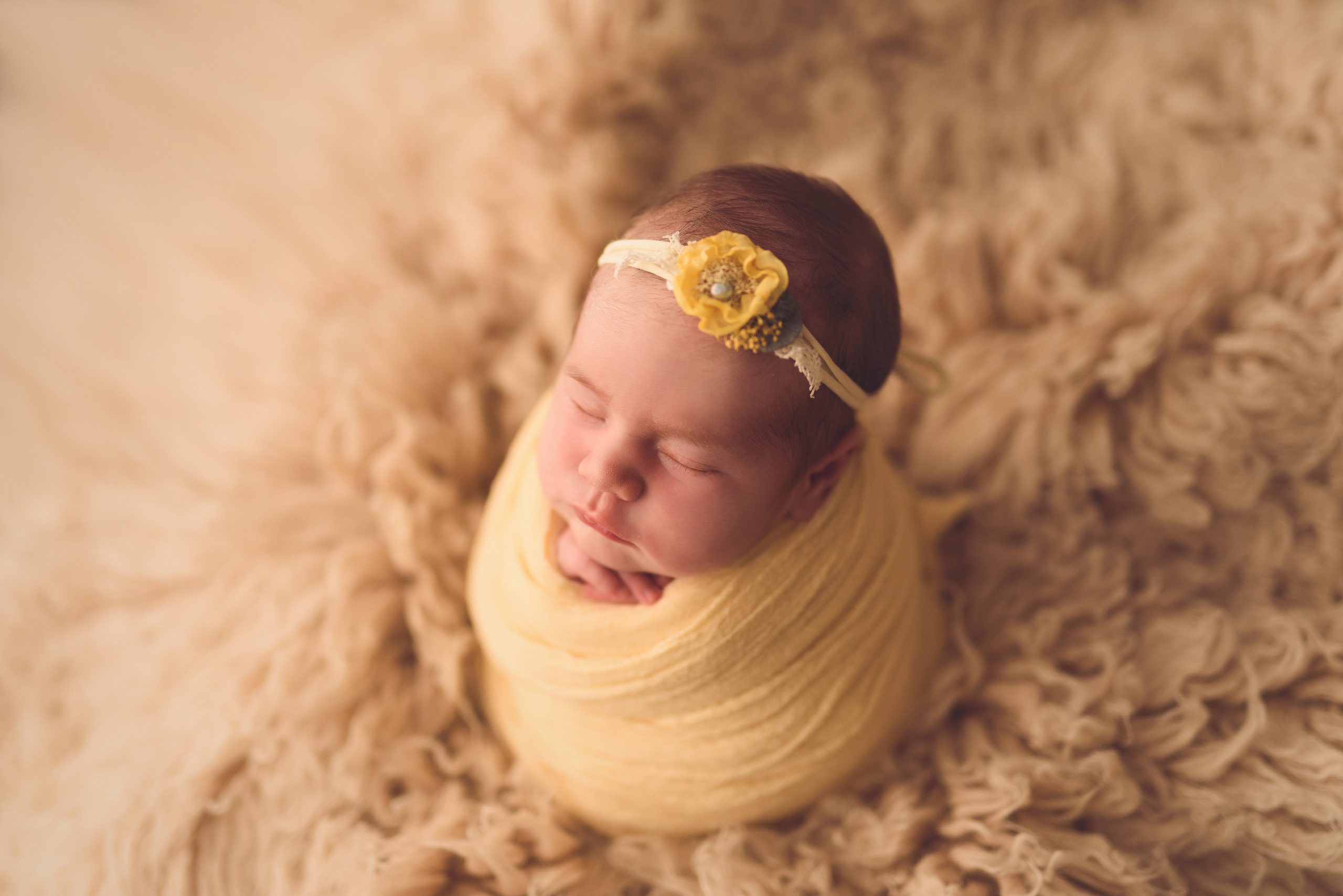 Новорожденные. Фотограф Шарыпово