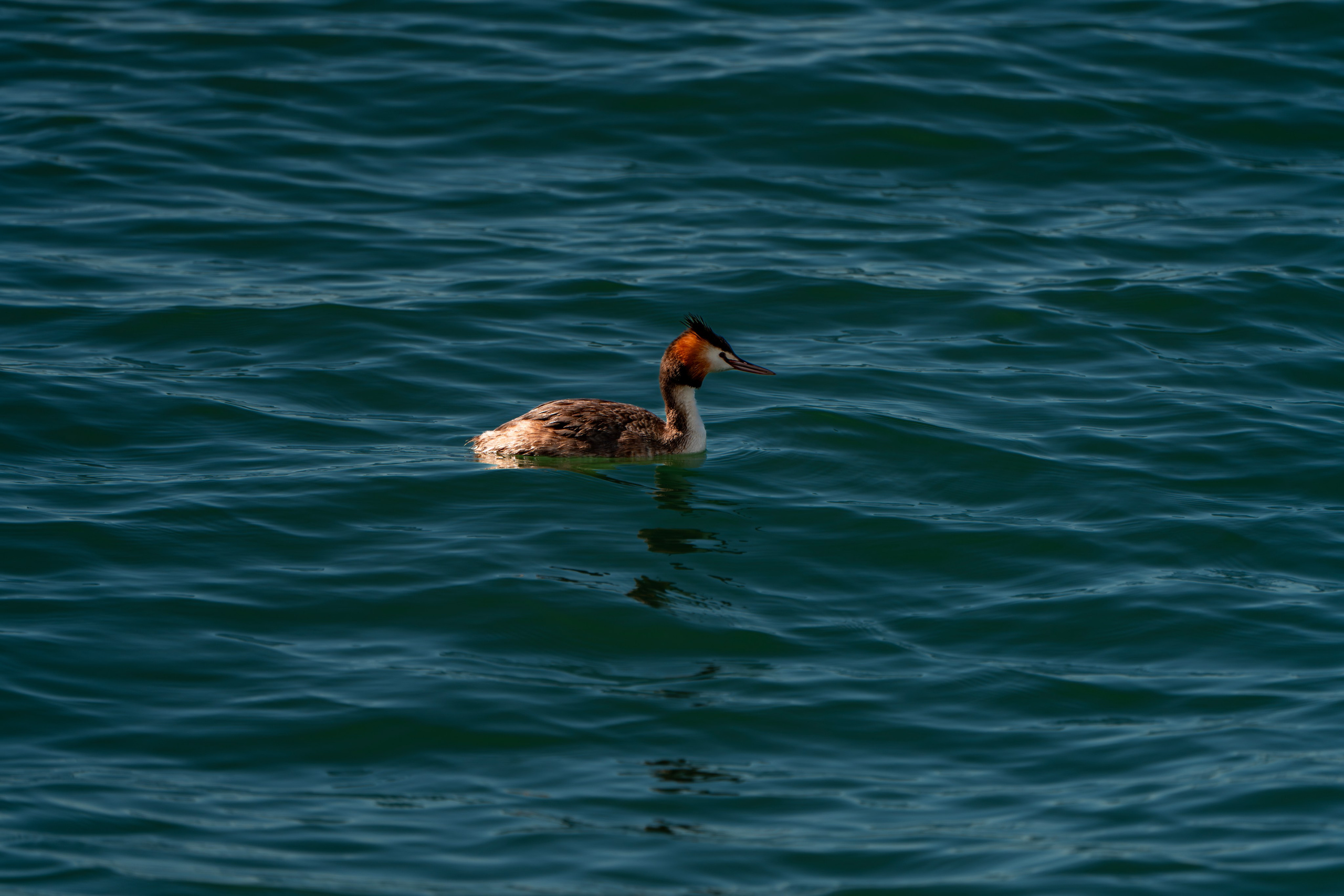 Заставки. Главная