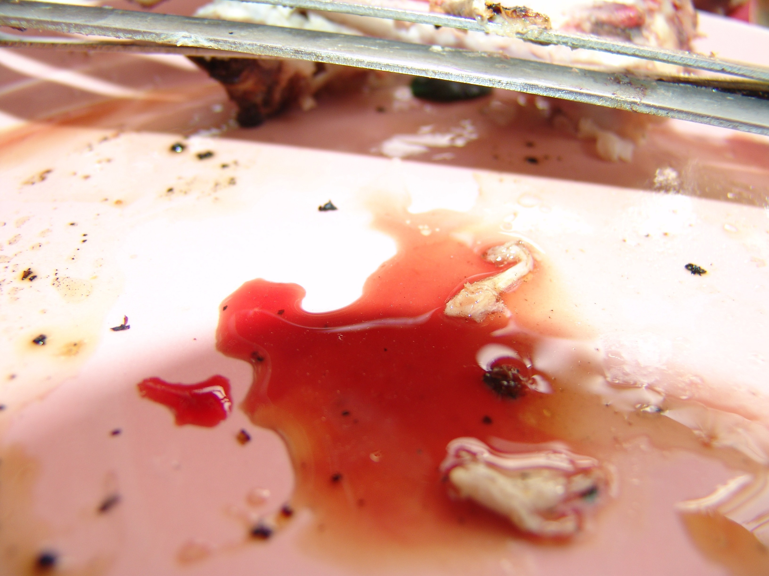 Приезд КС 2005. Заставка