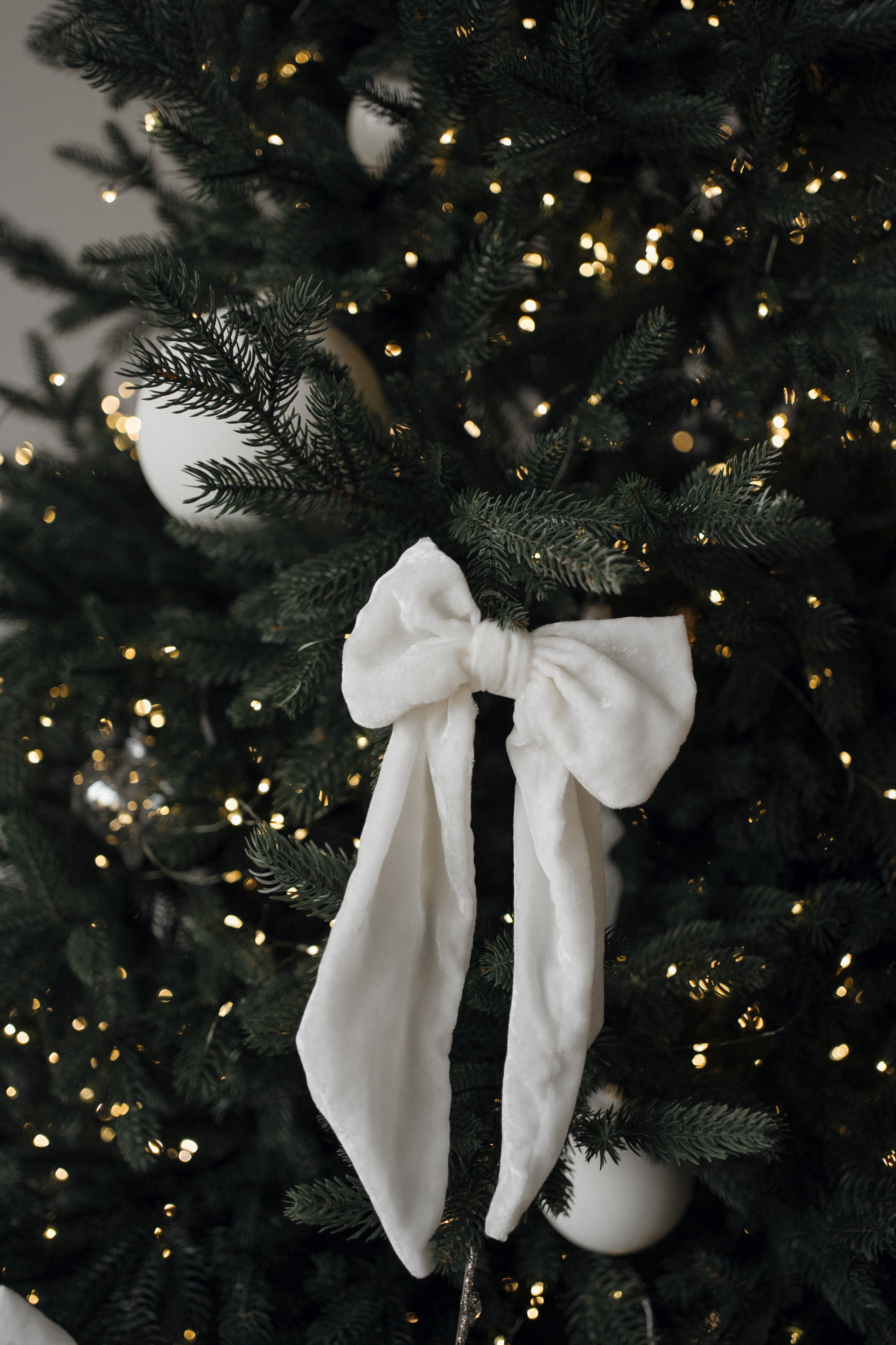 Новогодняя семейная фотосессия. Свадебный фотограф в Краснодаре и Сочи Винидиктова Екатерина