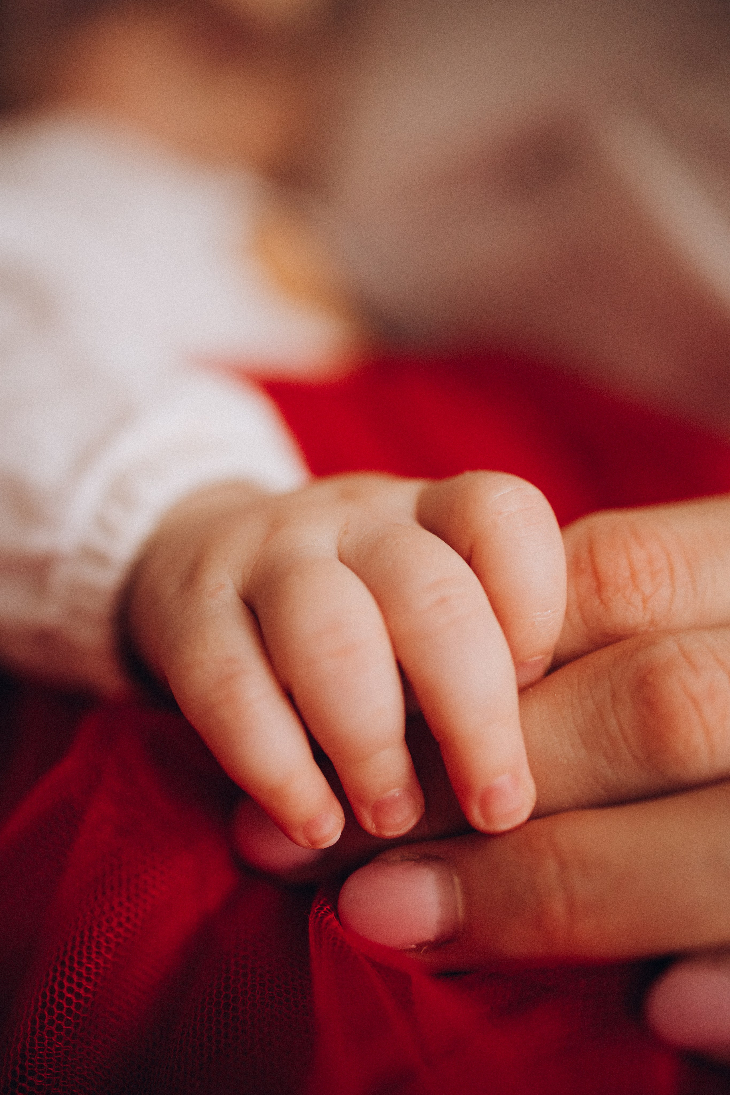 Надежда, Владислав и Василиса в преддверии Нового года!!!. Фотограф Москва Светлана Кирюшина
