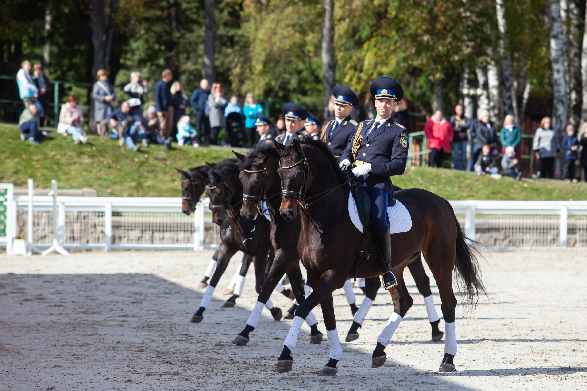 Кубок Губернатора по конкуру (21 сентября 2019). Репортажный фотограф Алексей Пирязев