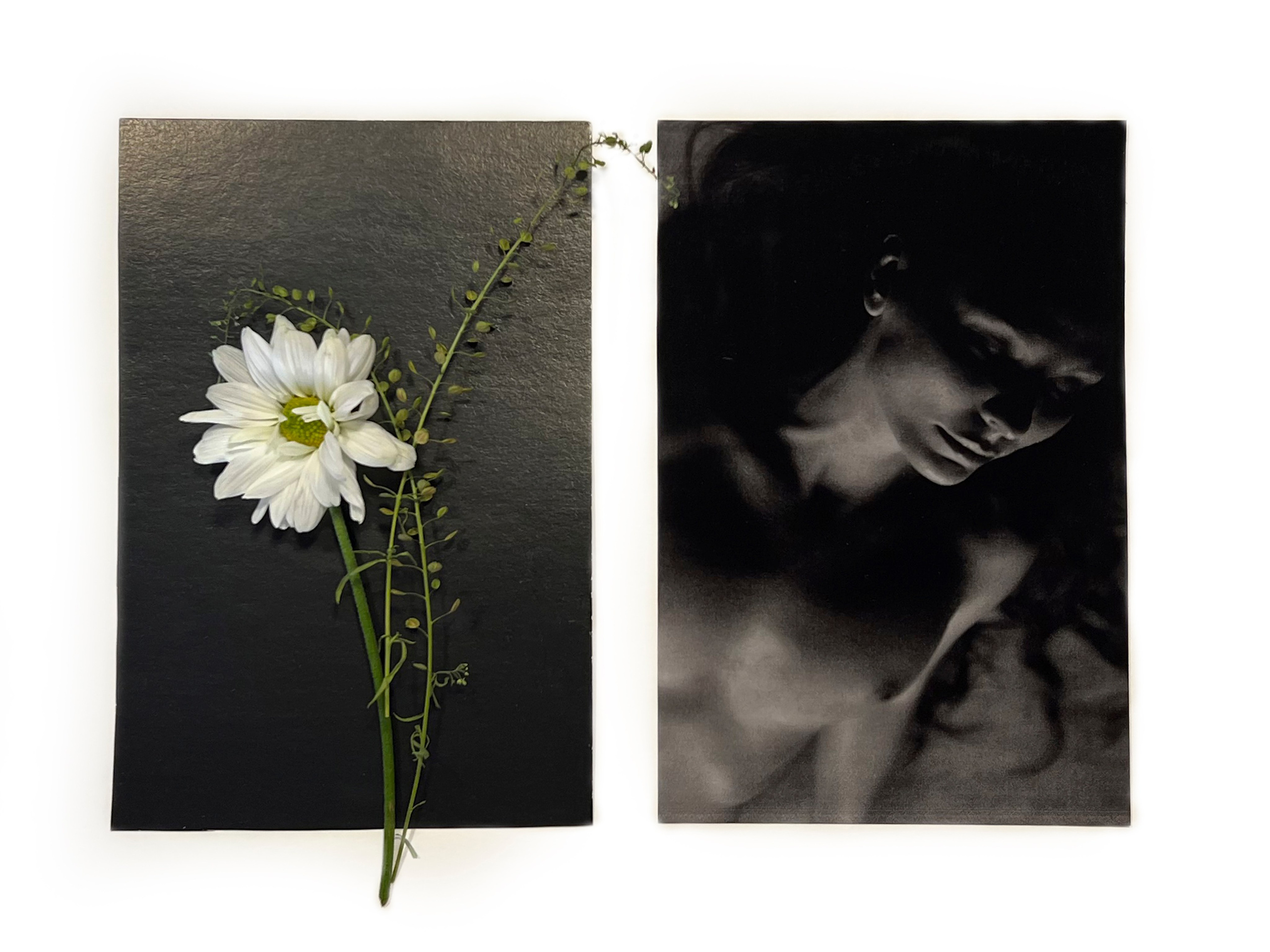 THE ANATOMY OF THOUGHTS. Evgeniia Mikheeva — International visual artist