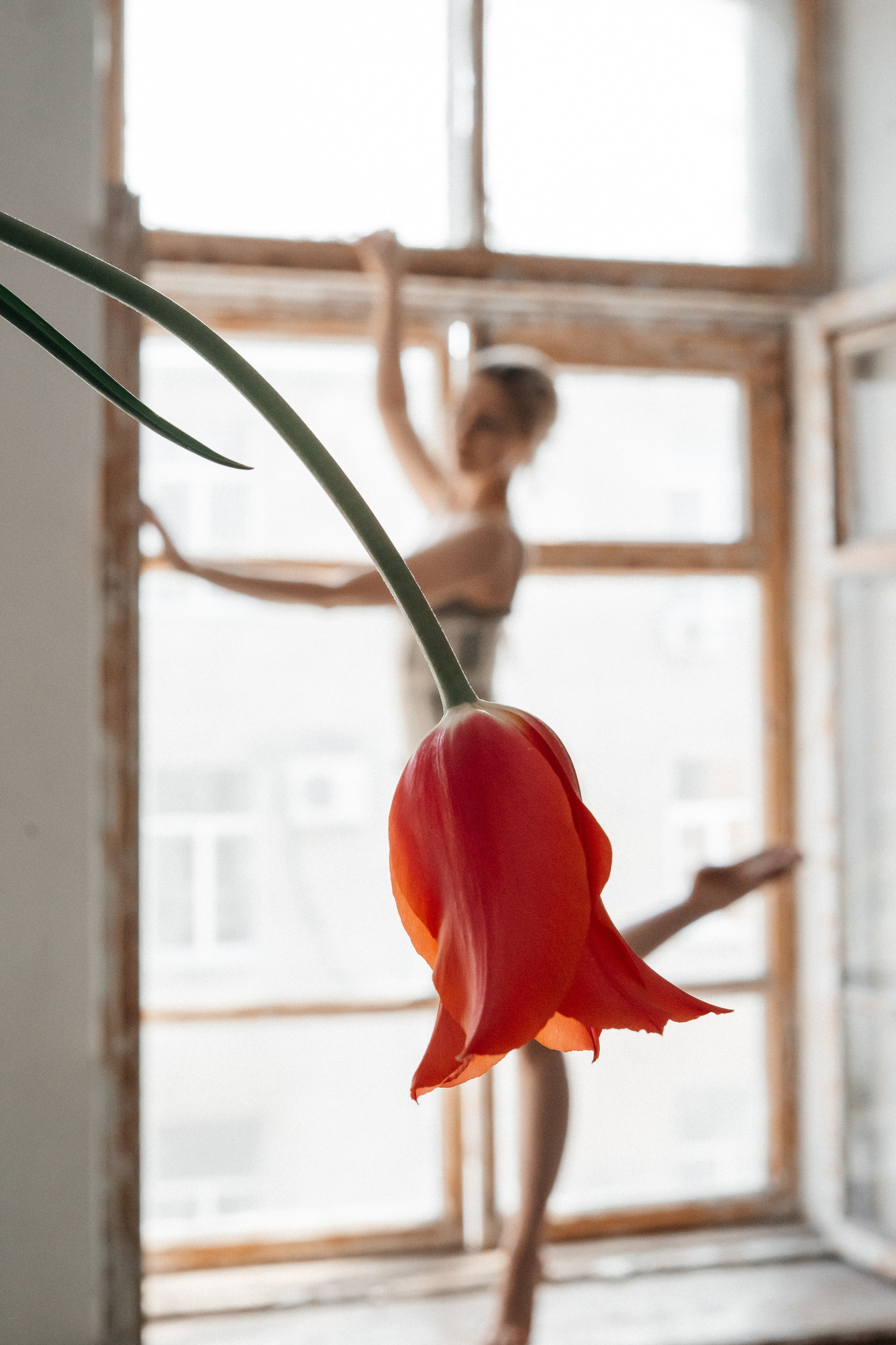 Nataly. Семейный и женский фотограф в Ростове-на-Дону Анна Кичигина