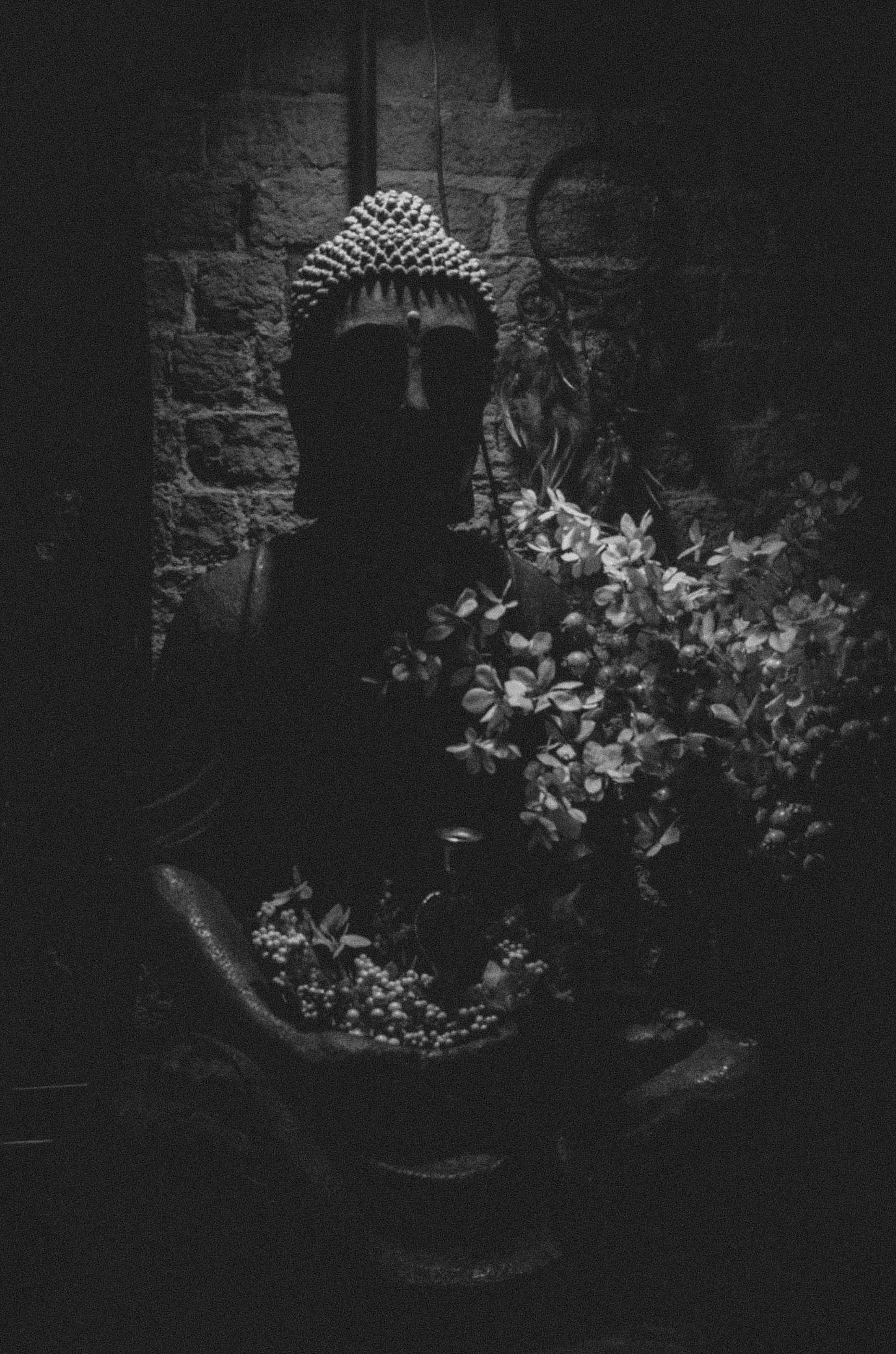 KULT in TREFF. ♦ Фотограф Москва и МО ♦ Самолюк Антон