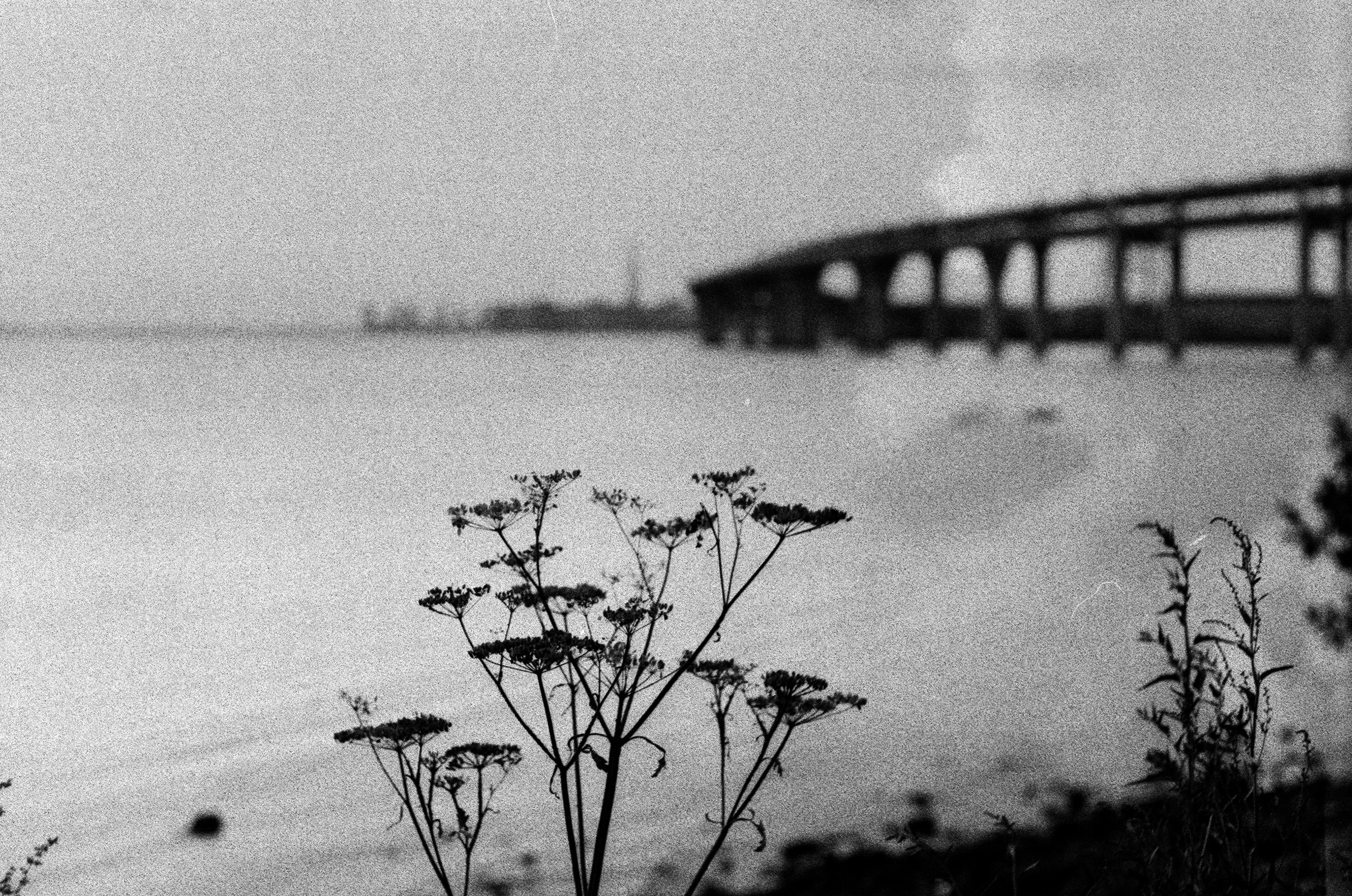 Натура. Фотограф — Маслеников Константин