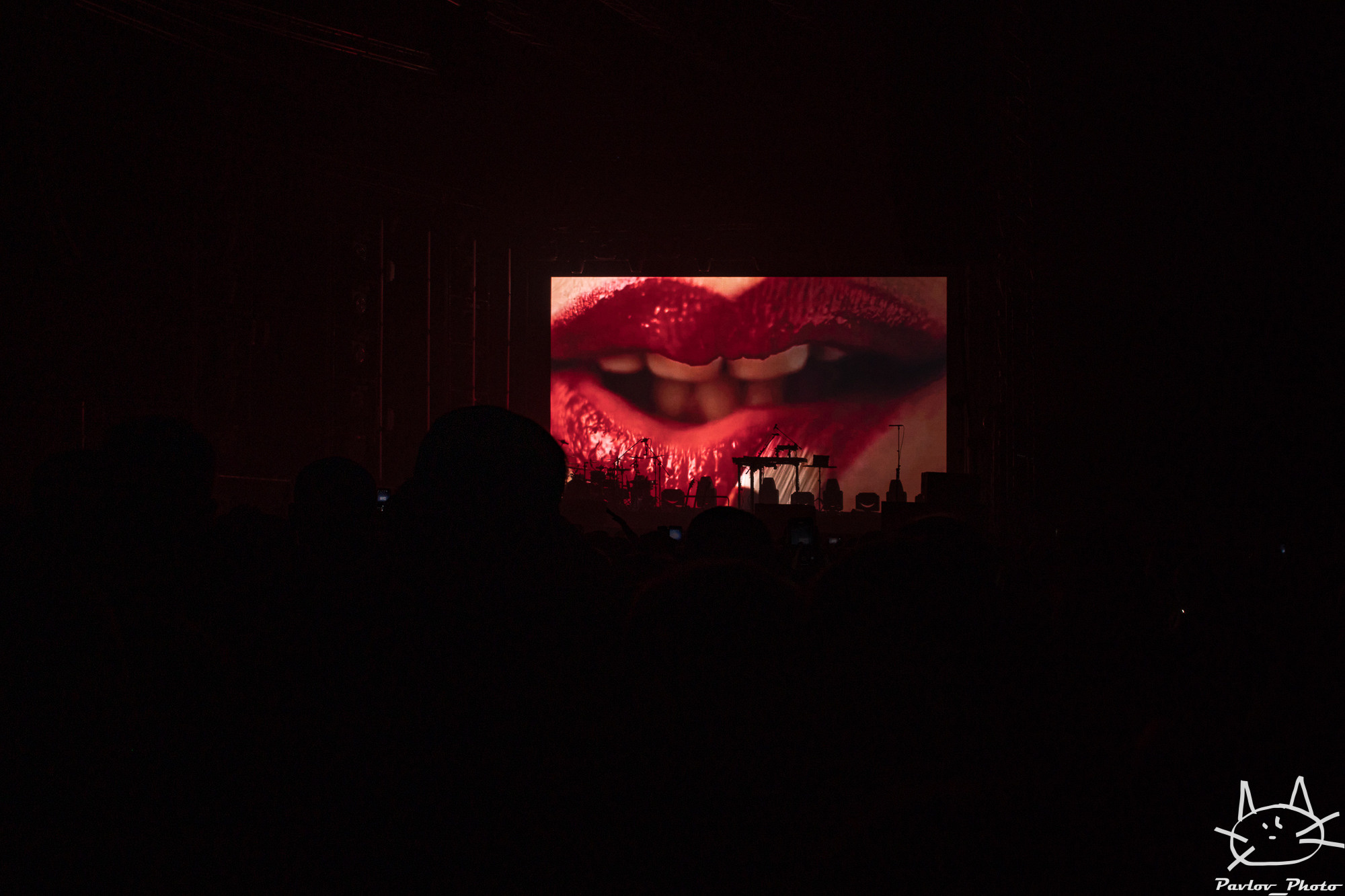 Группа Звери в Архангельске. Портретный и пейзажный фотограф Никита Павлов