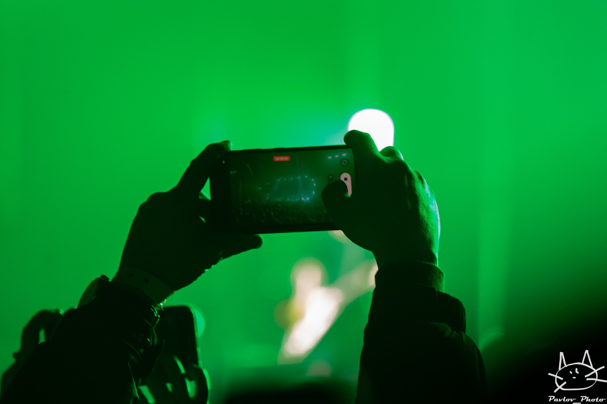 Группа Звери в Архангельске. Портретный и пейзажный фотограф Никита Павлов