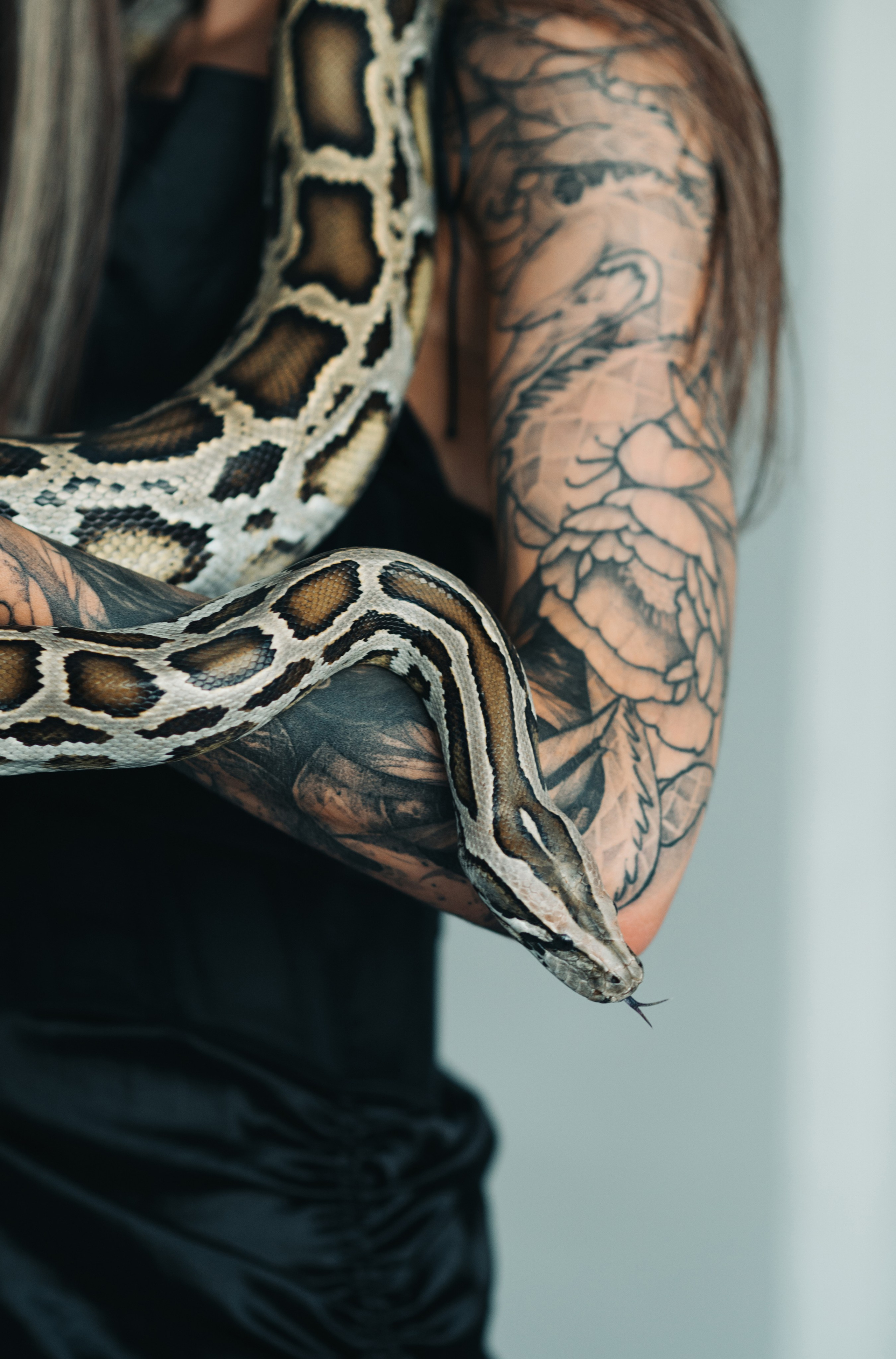 Саша с питоном. Свадебный фотограф во Владимире Влад Бирюков