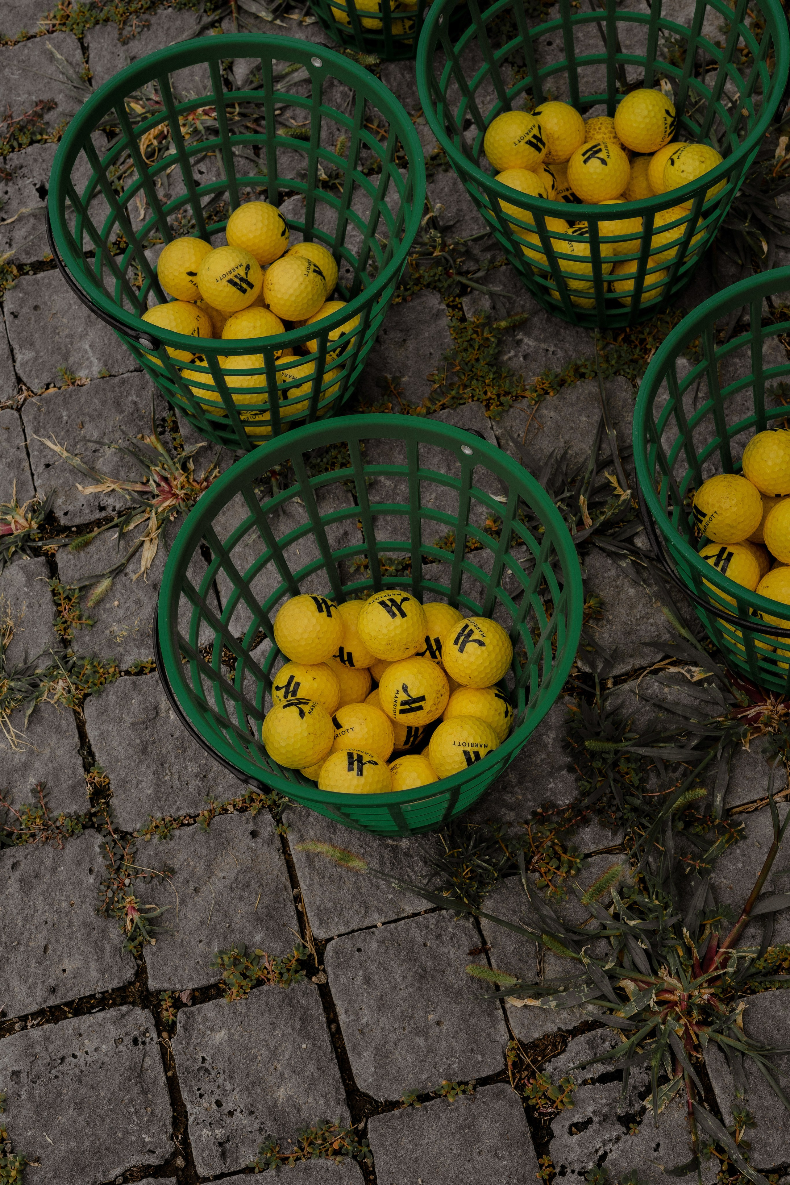 Гольф. Портретный и семейный фотограф в Мариуполе, РФ. Даша Жогло