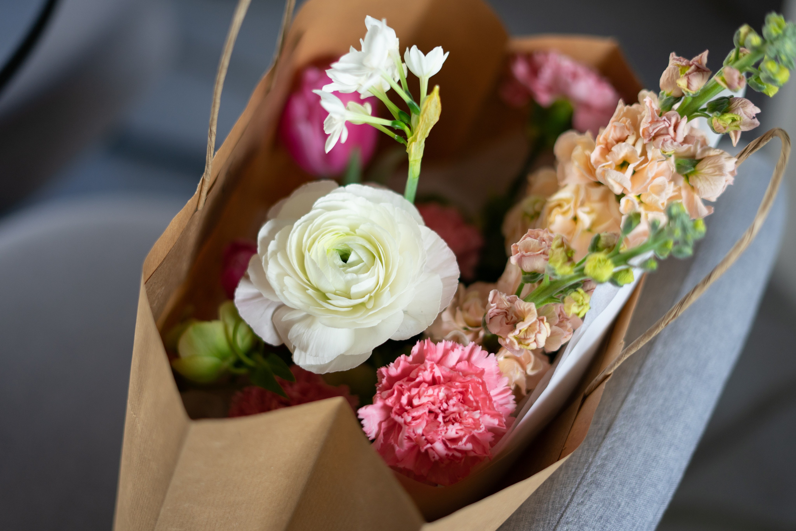 MC from a florist. Портретный и семейный фотограф в Мариуполе, РФ. Даша Жогло