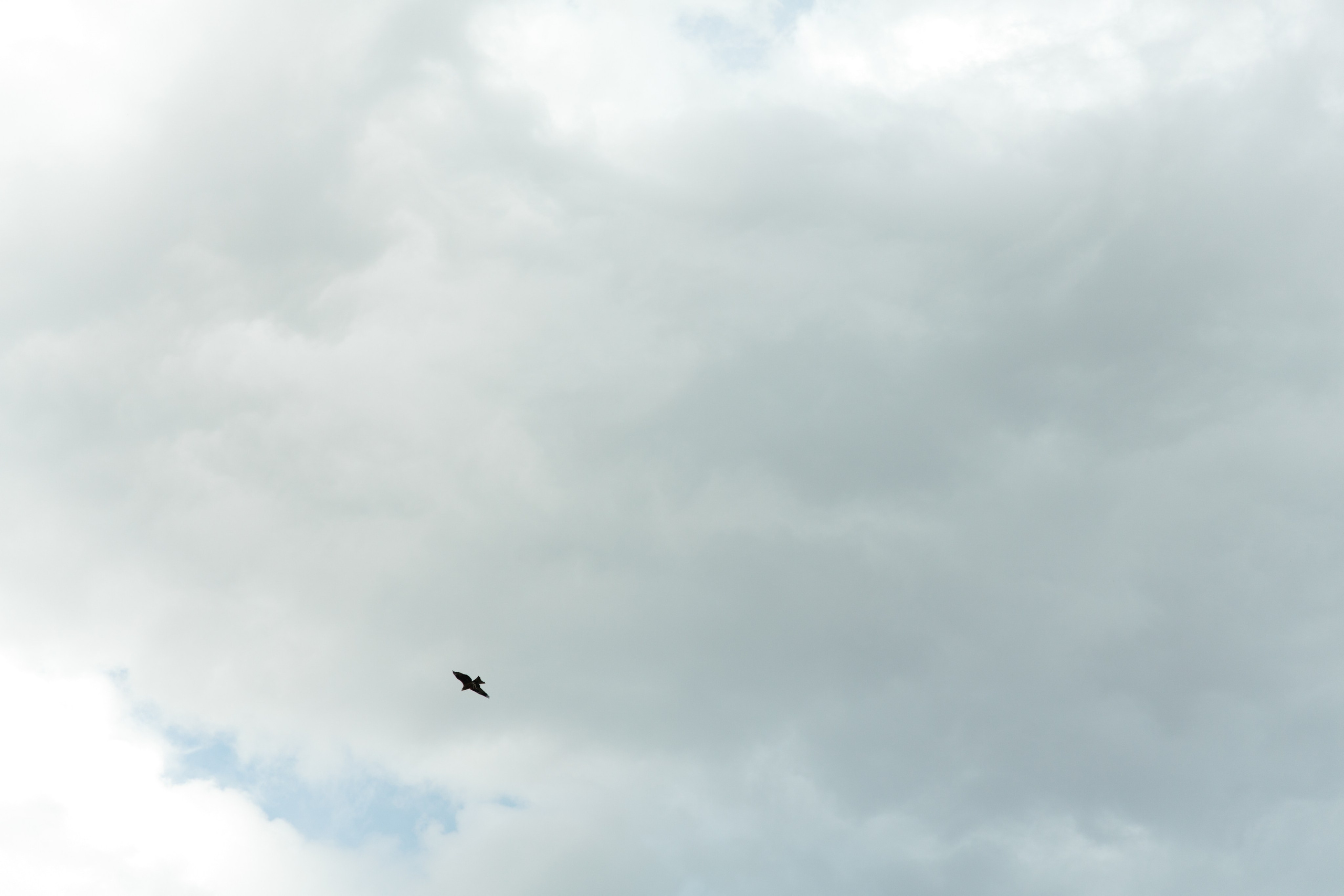 MICHETTI. Свадебное ФОТО & ВИДЕО Москва/Липецк