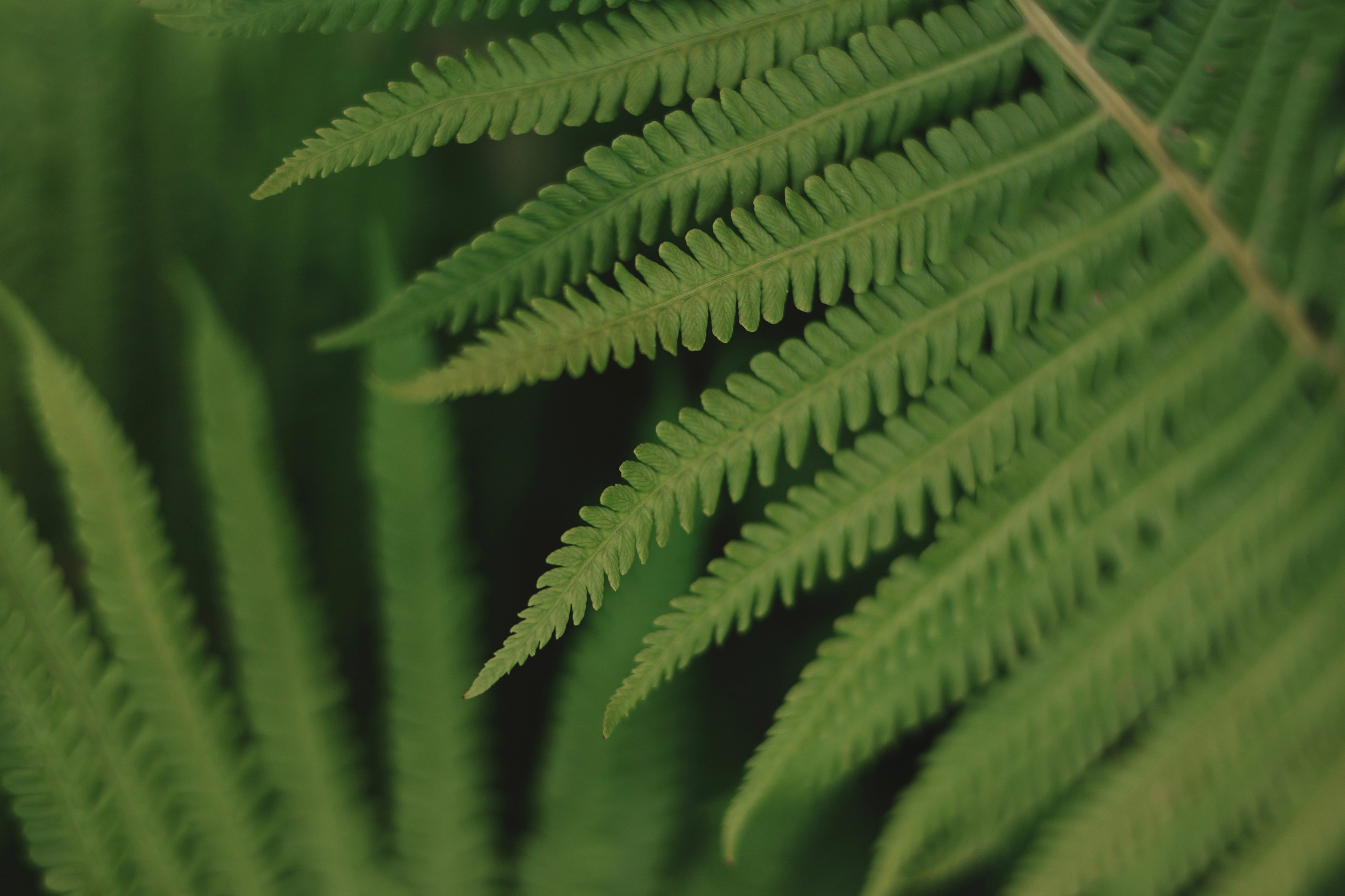 СТРИТ И ПРИРОДА. Репортажный фотограф Наталья Лапцевич