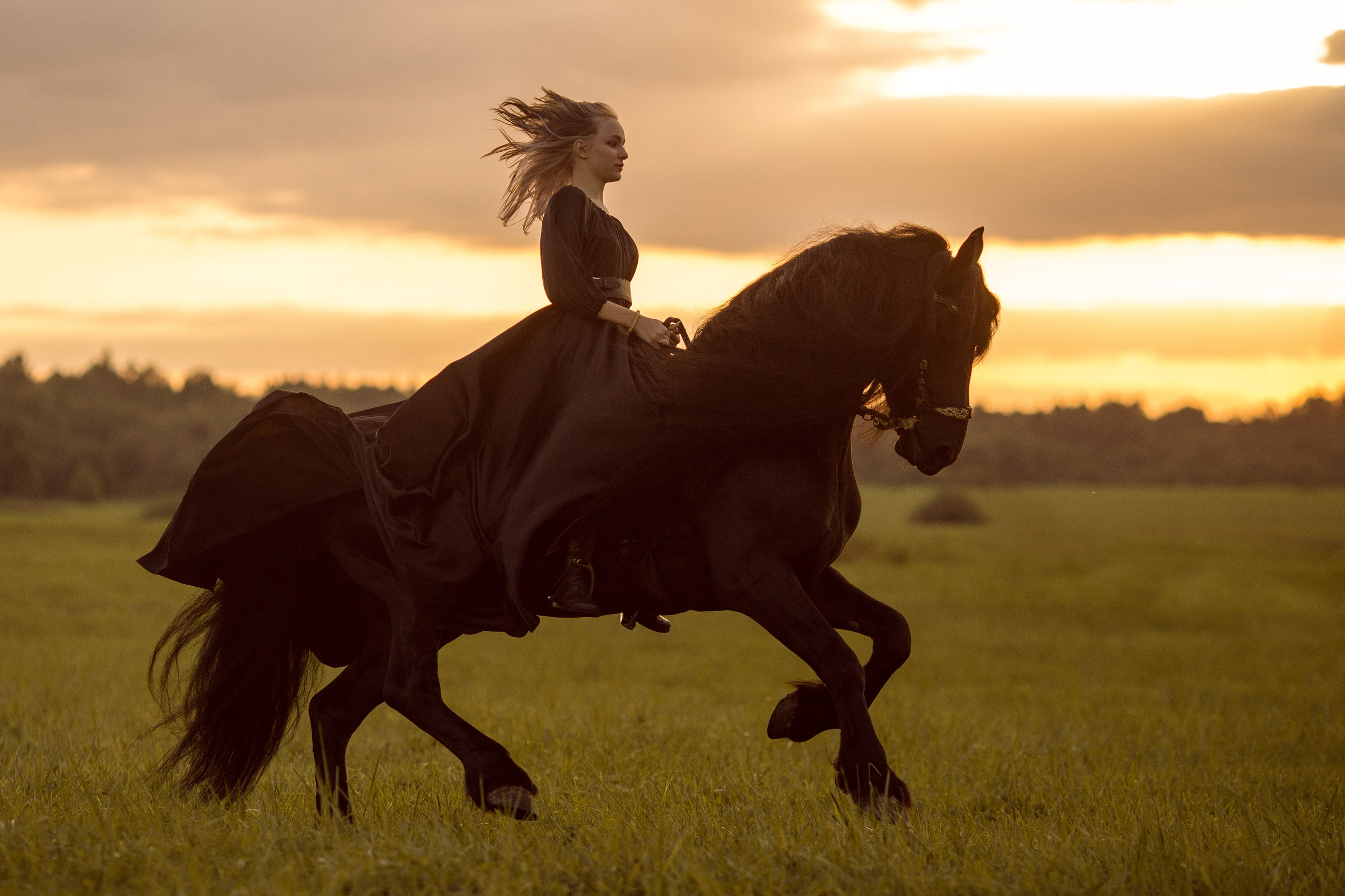 Фотосессия с фризом