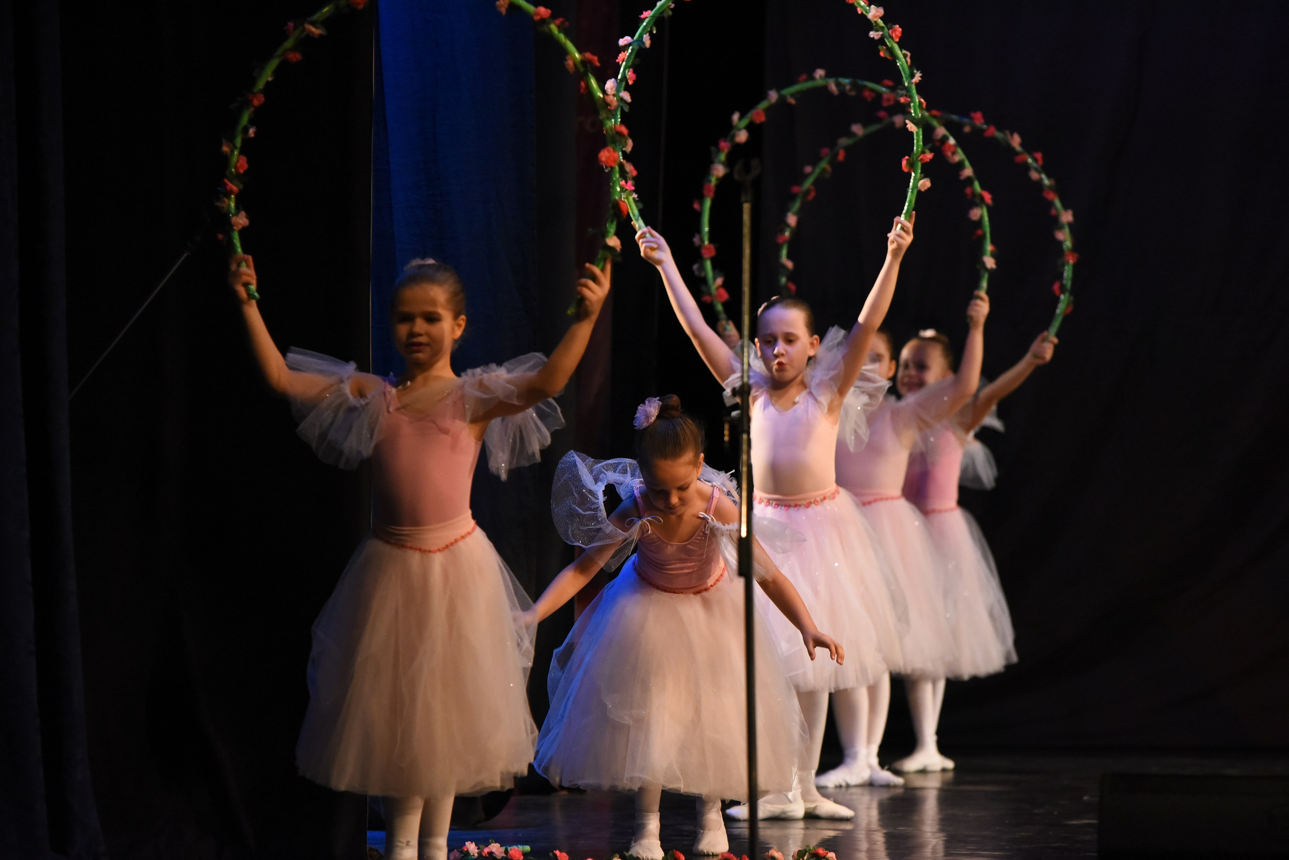 13 декабря, г. Калининград. Золотое яблочко