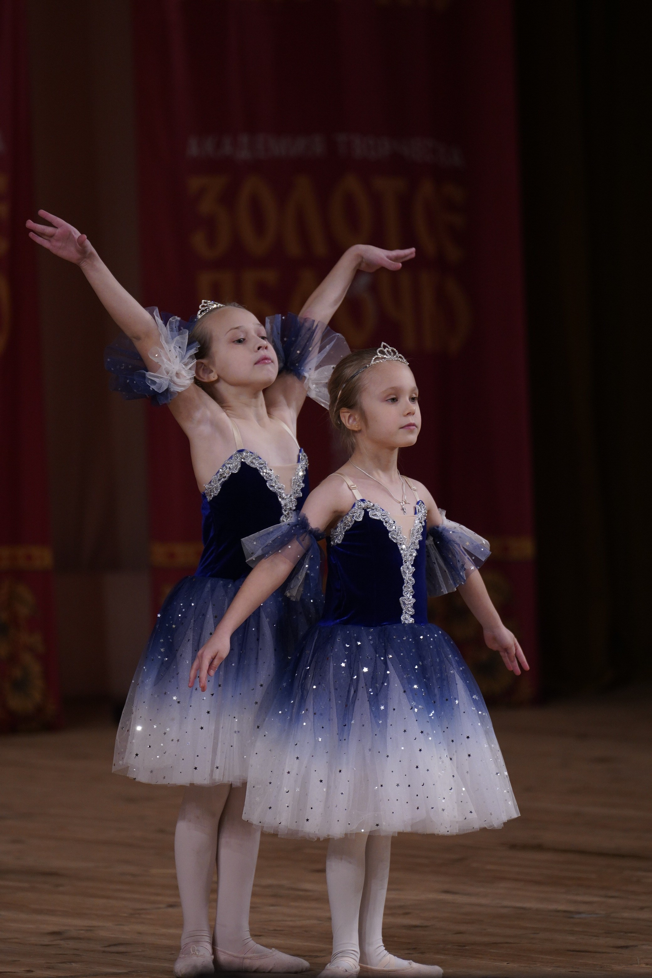 24 ноября, г. Санкт-Петербург. Золотое яблочко