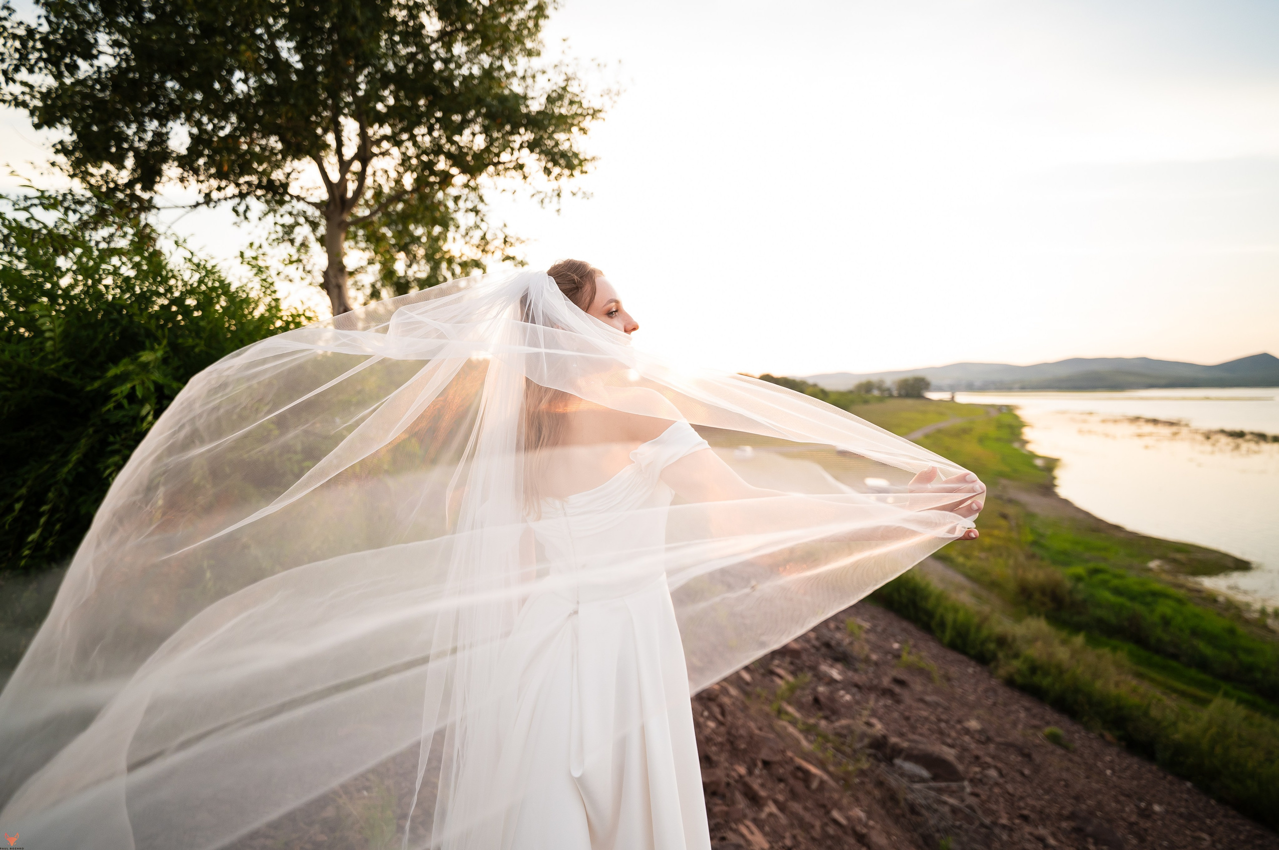 Wedding 02 08 24. Свадебный Фотограф Абакан