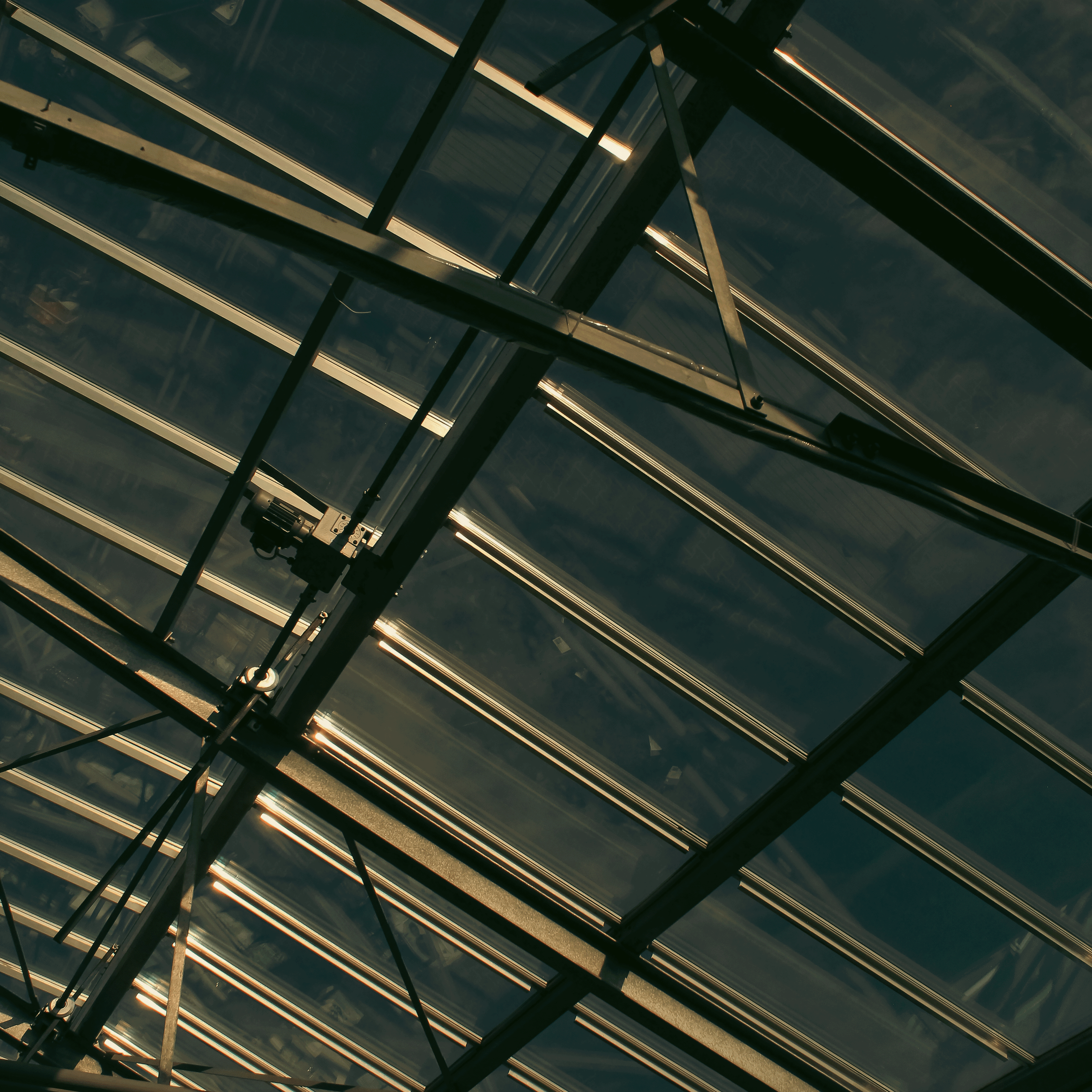 TMN ivapark '24. Фотограф/дизайнер в Екатеринбурге Хитрый Дмитрий